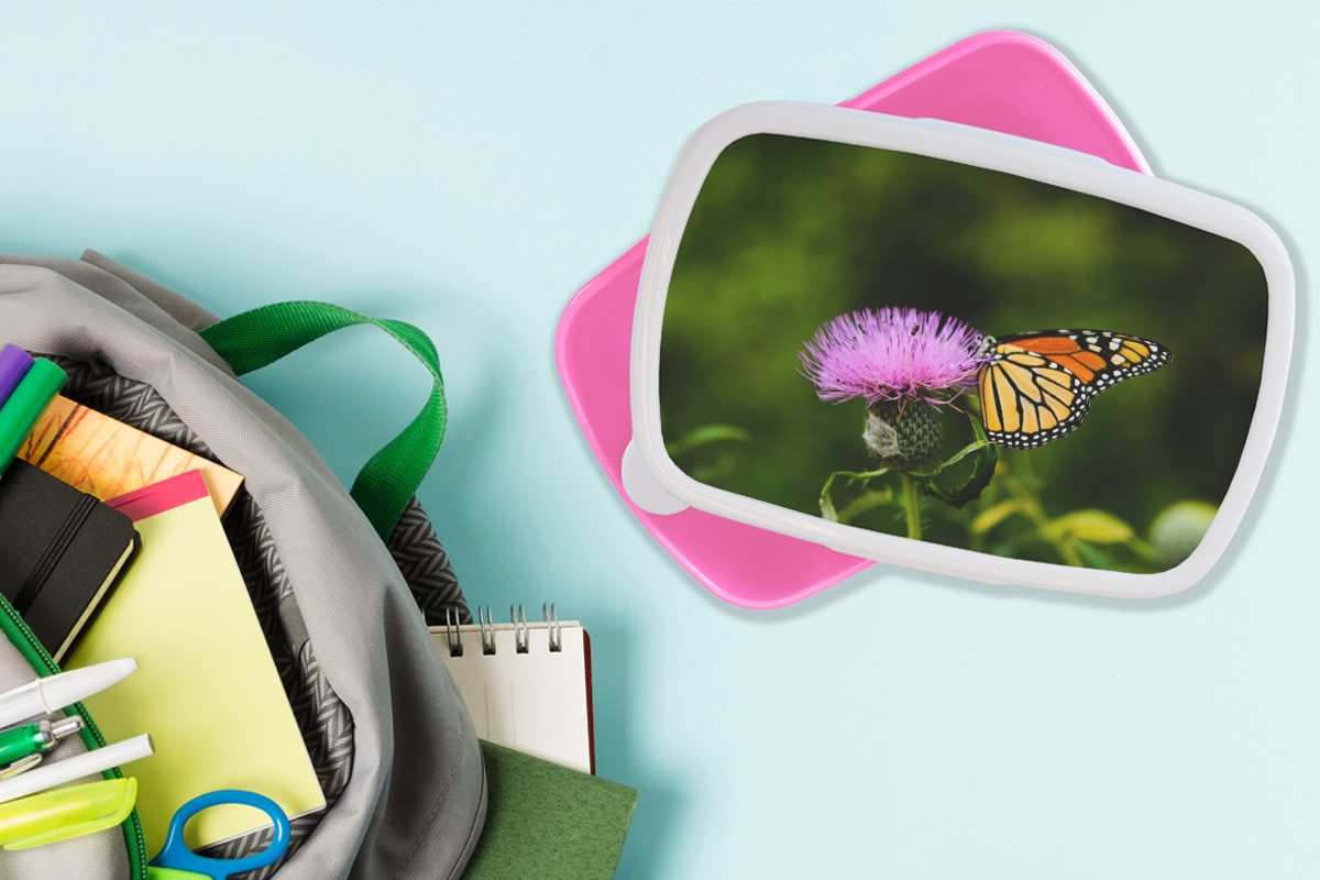Snackbox, Schmetterling Kunststoff Mädchen, Erwachsene, Brotbox - rosa (2-tlg), MuchoWow Blumen Makro, Kinder, Brotdose für - Kunststoff, Lunchbox