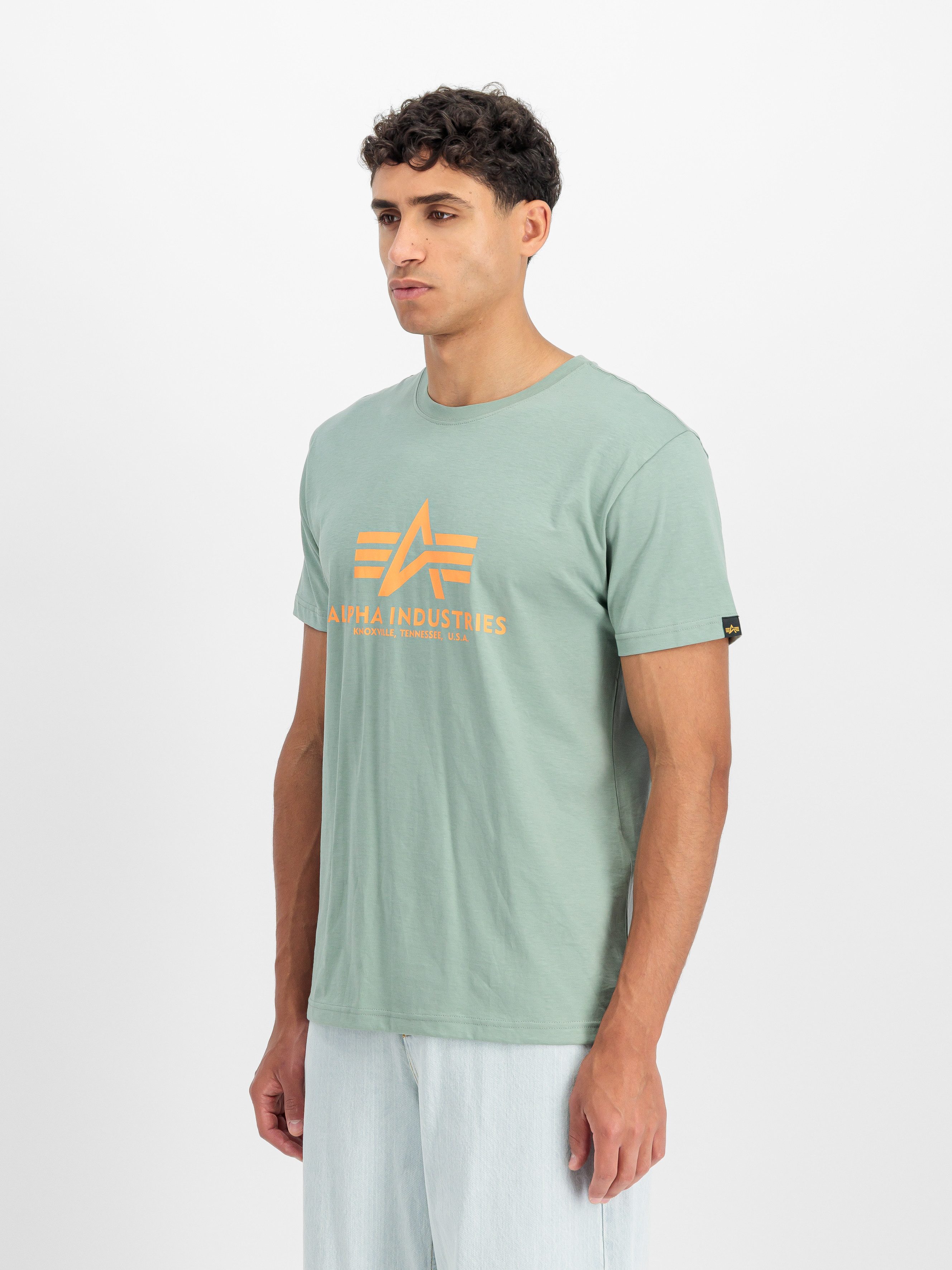 Alpha Industries T-Shirt Basic T-Shirt Baumwolle, regular fit günstig online kaufen