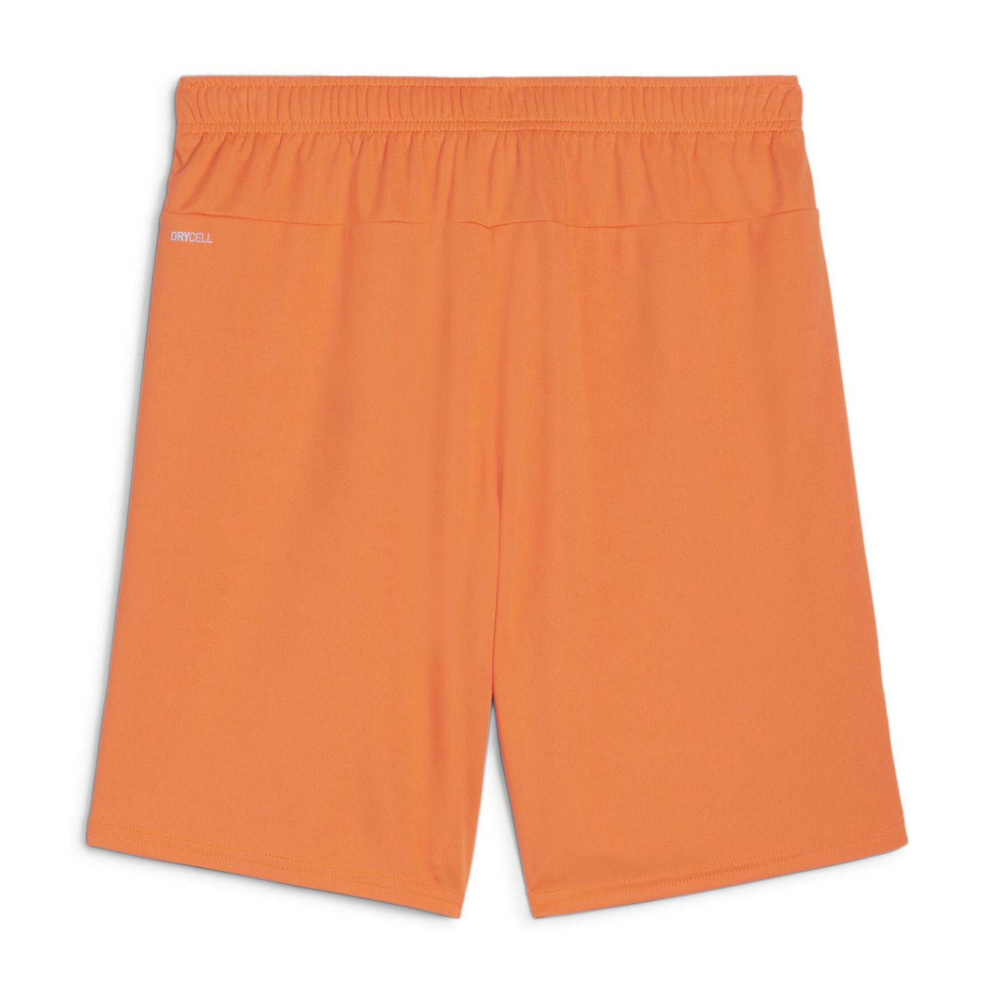 PUMA Trainingsshorts Puma Herren Short teamGOAL günstig online kaufen