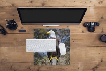 MuchoWow Gaming Mauspad Ein Weißkopfseeadler auf einer Stange schaut zur Seite (1-St), Mousepad mit Rutschfester Unterseite, Gaming, 40x40 cm, XXL, Großes