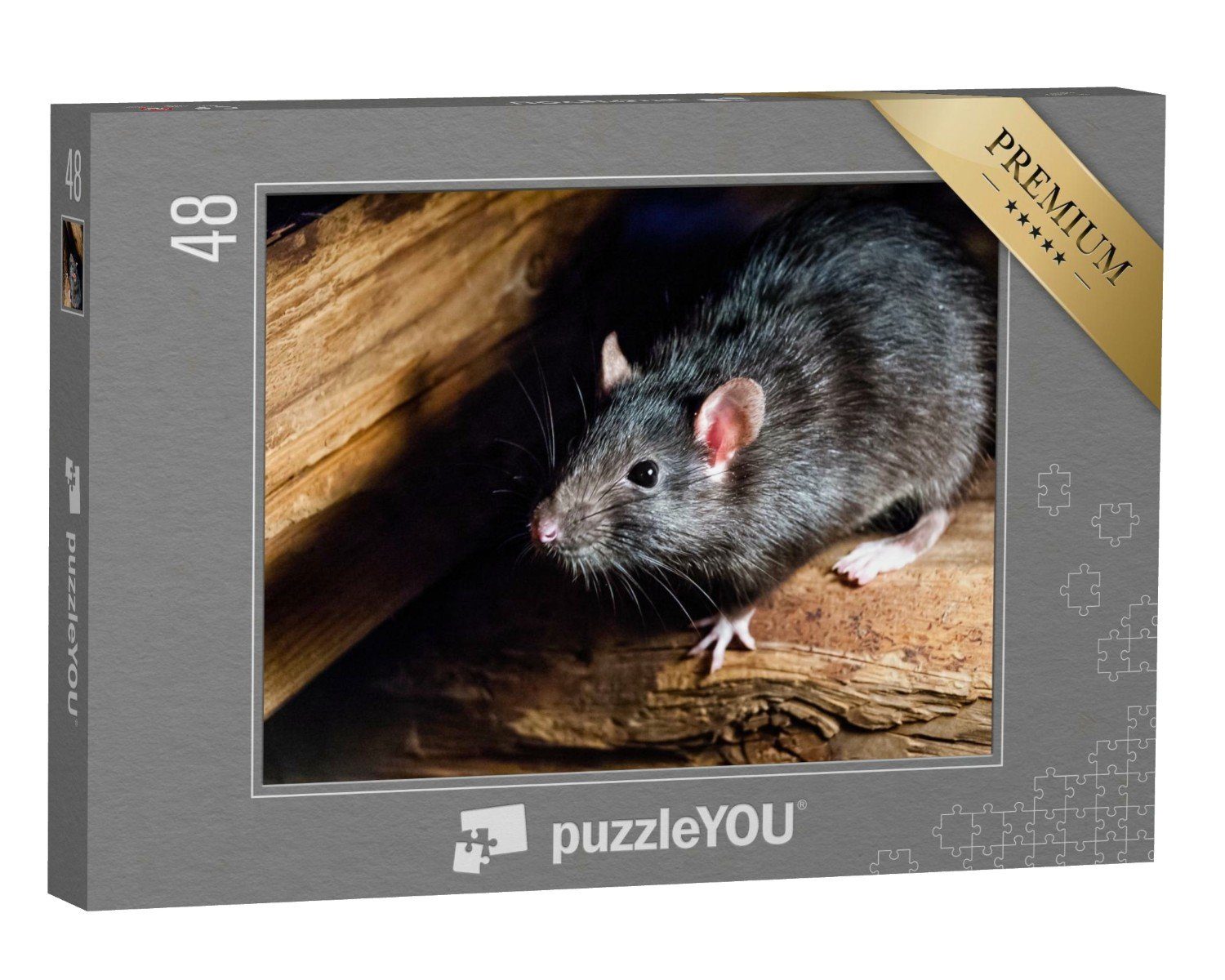 puzzleYOU Puzzle Die schwarze Ratte, auch bekannt als Hausratte, 48 Puzzleteile, puzzleYOU-Kollektionen Mäuse, Insekten & Kleintiere