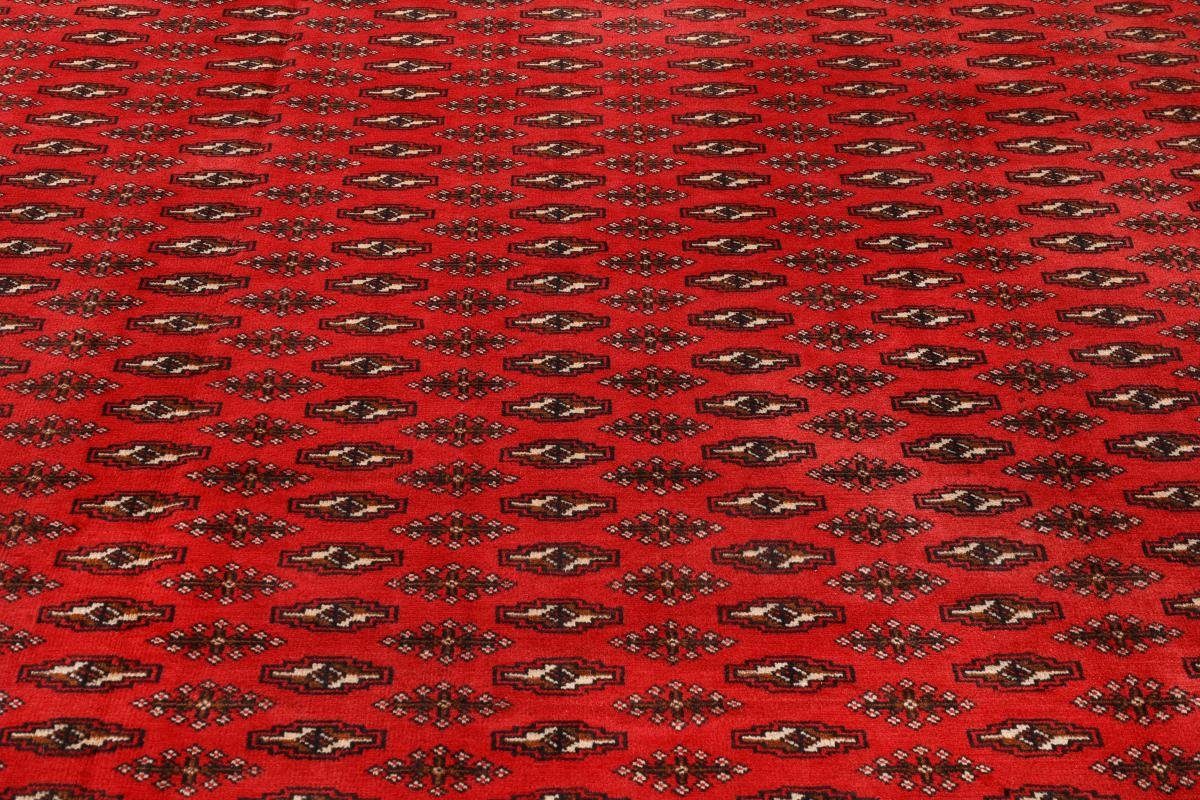 / Orientteppich Turkaman Trading, rechteckig, 248x339 Höhe: Orientteppich mm Handgeknüpfter 6 Nain Perserteppich,