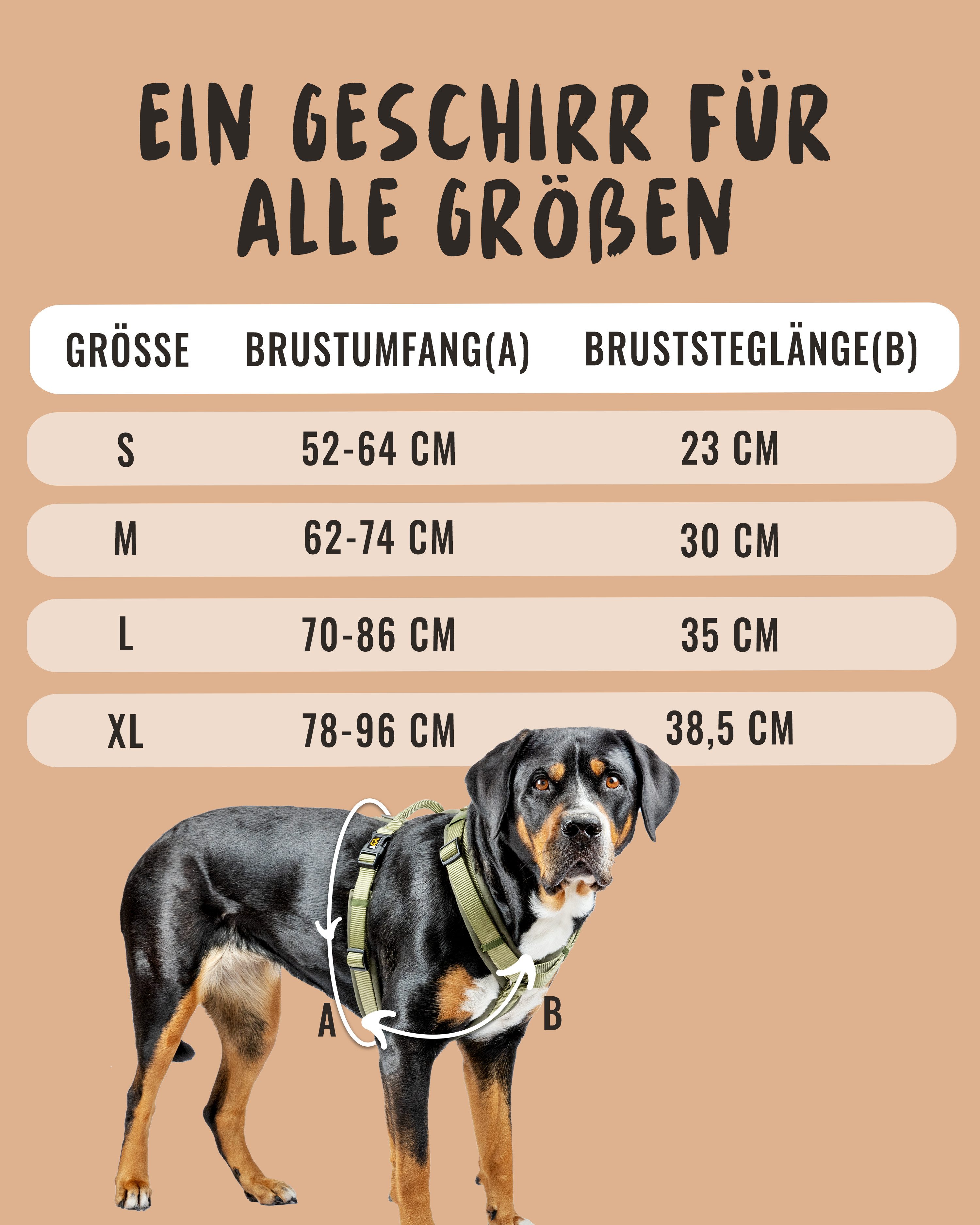 Rudelkönig Hunde-Geschirr Gepolstertes Brustgeschirr mit Haltegriff, Verste günstig online kaufen