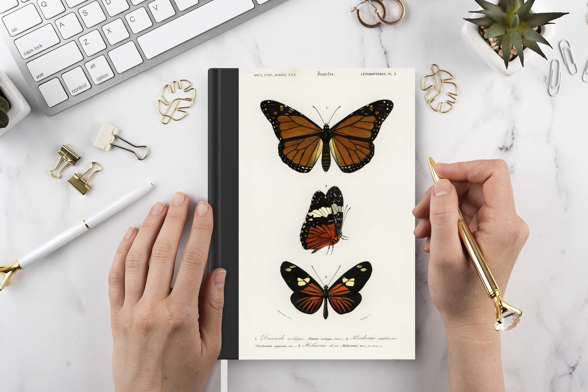 Insekten, Notizheft, Haushaltsbuch Schmetterling Notizbuch - Merkzettel, Journal, A5, Seiten, Tagebuch, Vintage - 98 MuchoWow