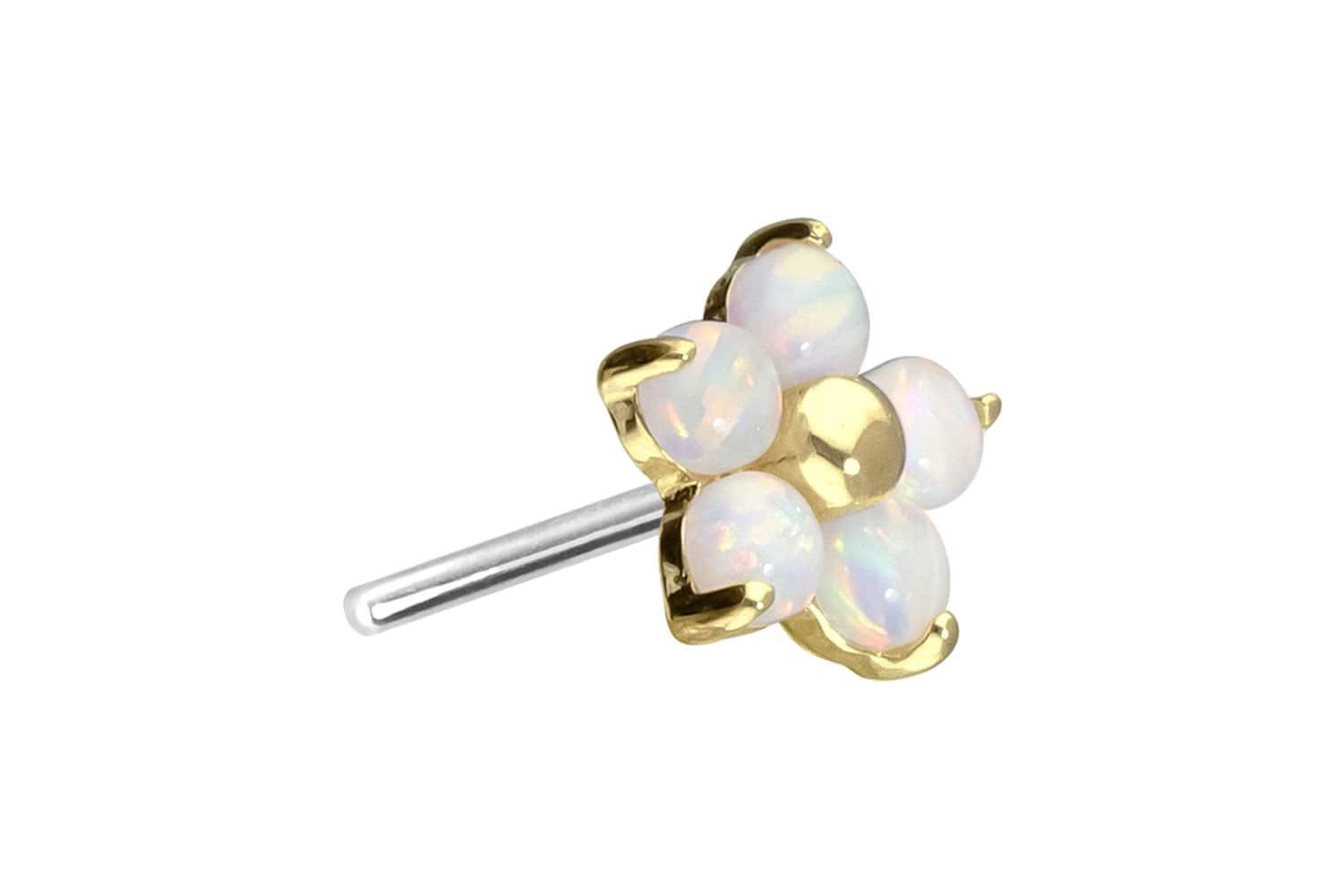Piercing-Set 14 Karat Gold Aufsatz mit Titan Push Pin BLUME + 5 SYNTHETISCHE OPALE
