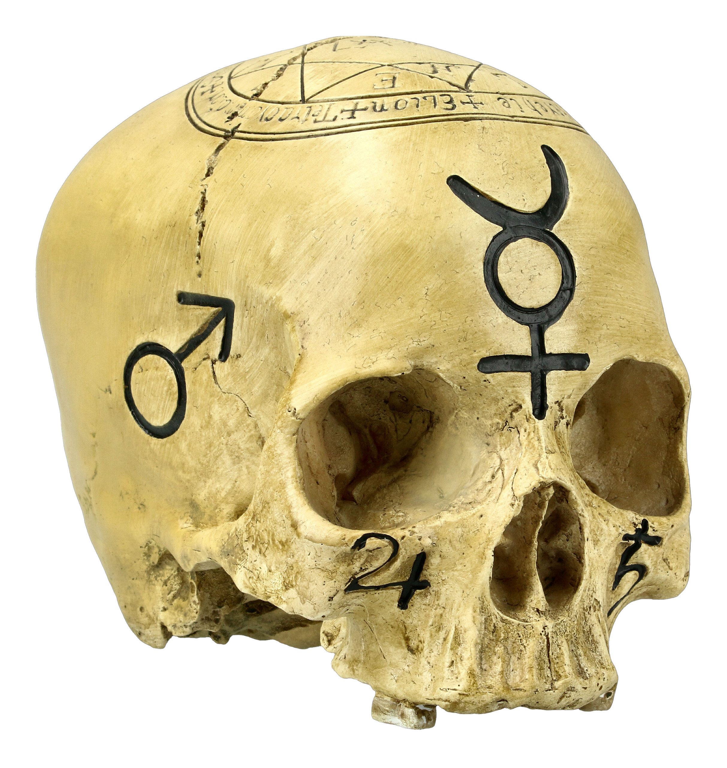Figuren Shop GmbH Dekofigur Totenkopf Witchcraft Skull - Gothic Deko Halloween