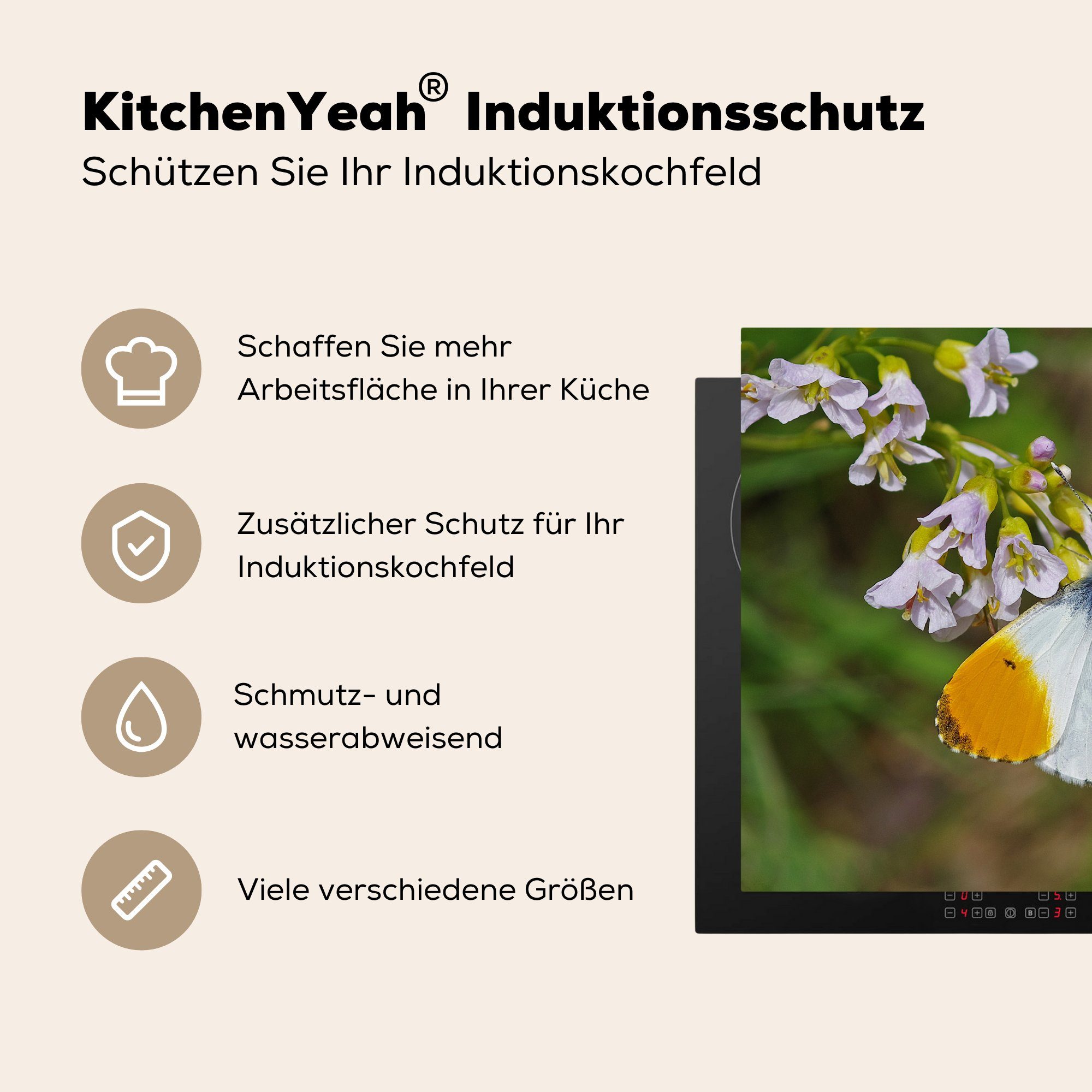 MuchoWow Vinyl, nutzbar, Herdblende-/Abdeckplatte Kuckucksblume, (1 cm, einer Mobile tlg), Ceranfeldabdeckung Arbeitsfläche 70x52 Schmetterling Orangefarbener auf