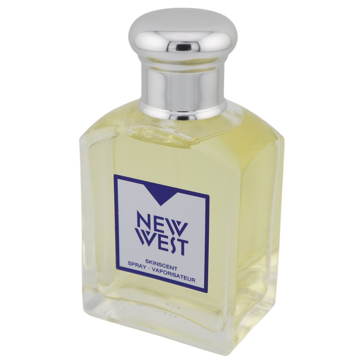 aramis Eau de Toilette Aramis New West for Him Skinscent Spray 100 ml