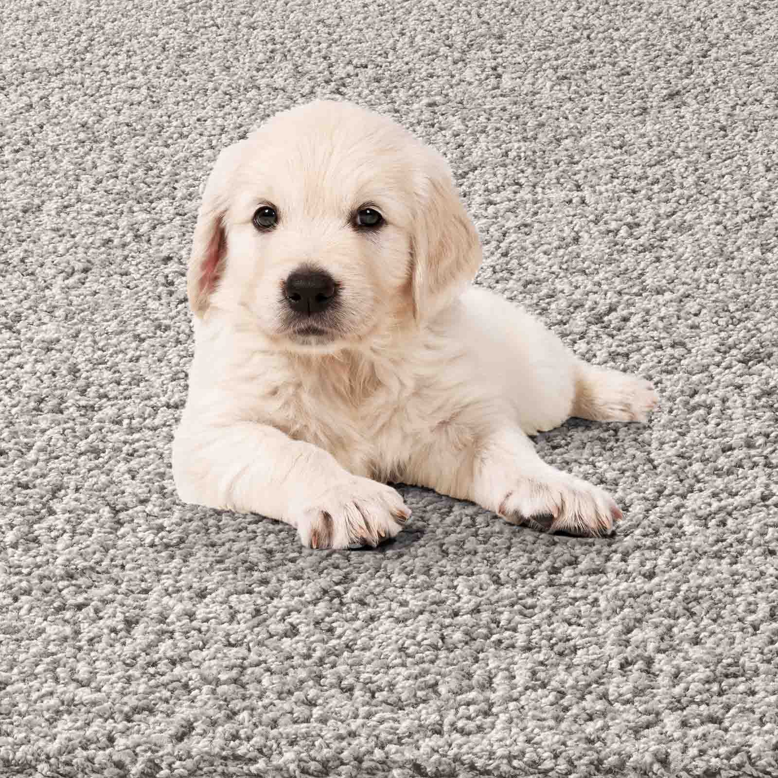 TaCa Home Langflor-Teppich Waschbarer Langflor-Teppich Rutschfest, rund, Höhe: 30 mm, Badematte Wohnzimmer Badezimmer Küche Flur, Grau - 120 cm rund