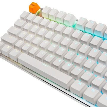Glorious PC Gaming Race GMMK Full Size White Ice Edition Gaming-Tastatur (US Layout, Gateron-Brown, RGB LED Beleuchtung, mit austauschbaren Switches, N-Key-Rollover, Anti Ghosting, ABS Doubleshot Keycaps, weiß)