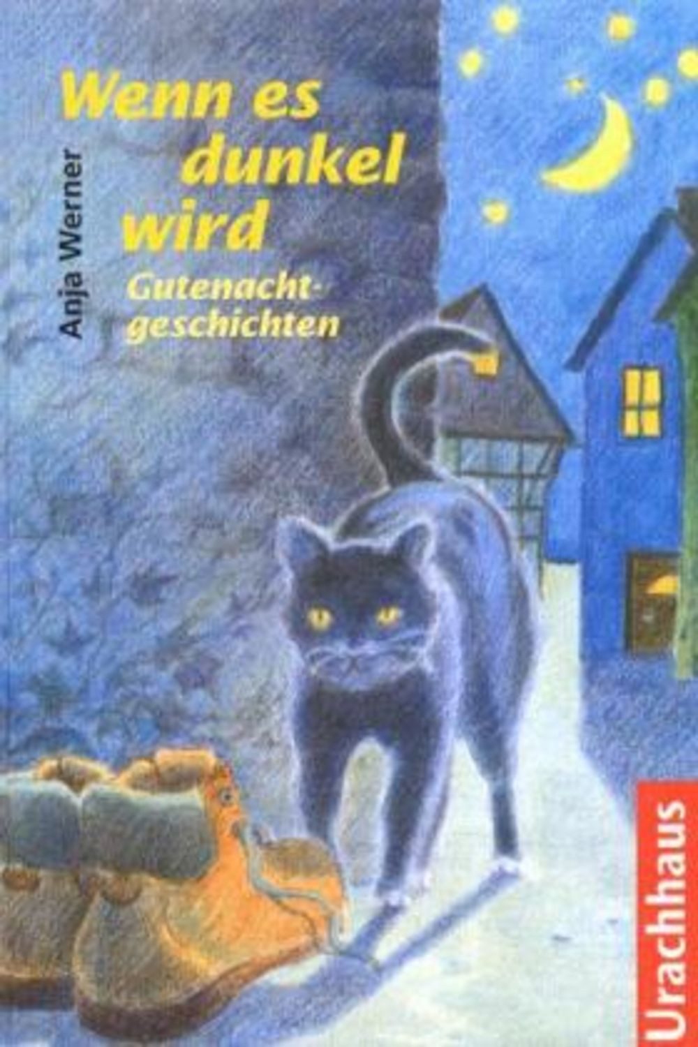 Wenn es dunkel wird / Anja Werner