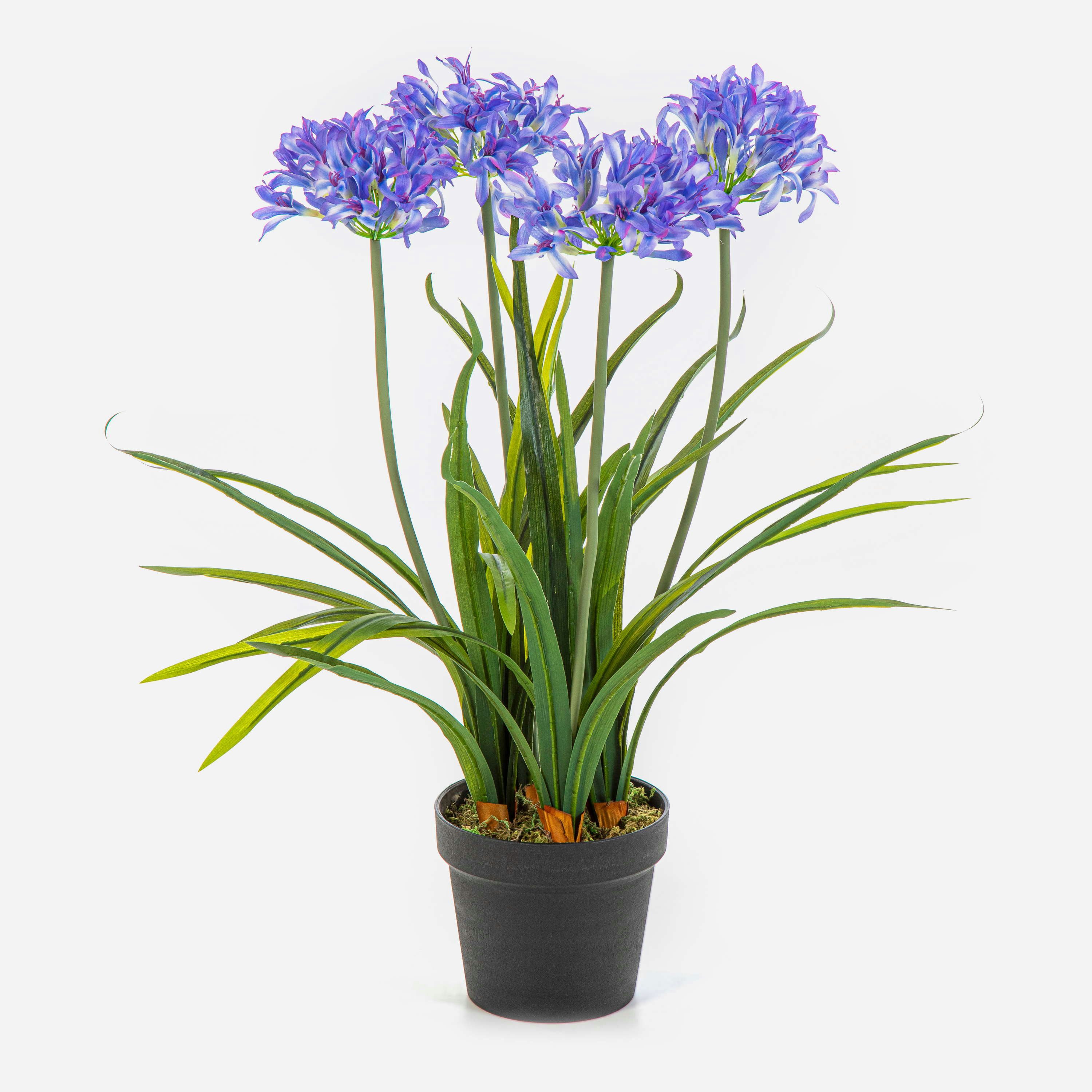 Kunstblume Agapanthus LESEDA im Dekotopf, blau, 65cm Agapanthus, artplants, Höhe 65.0 cm