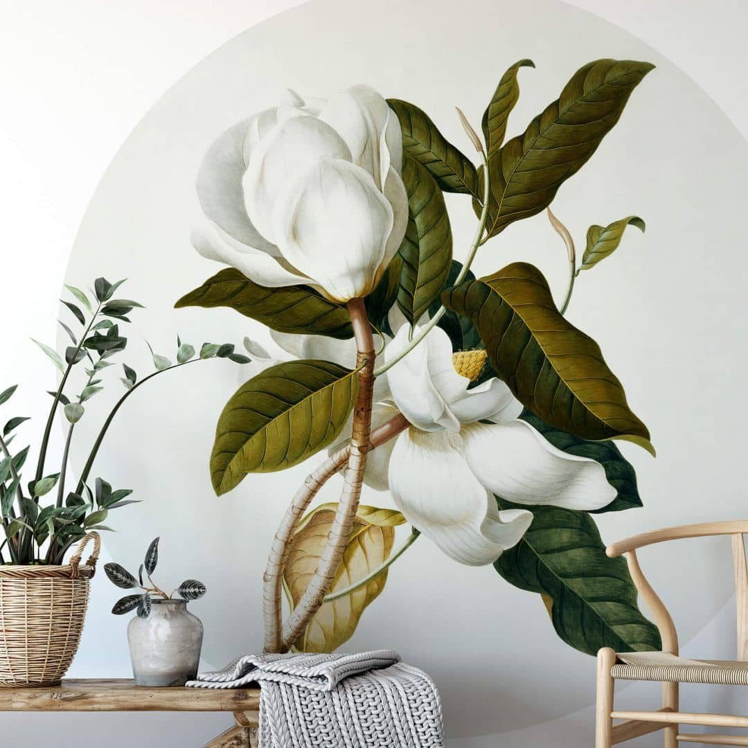 K&L Wall Art Fototapete Botanische Fototapete Magnolien Vliestapete Wohnzimmer Deko Ehret, Magnolie Tapete, Moderne Vlies-Fototapeten für Büro und Wohnraum, hergestellt in Berlin