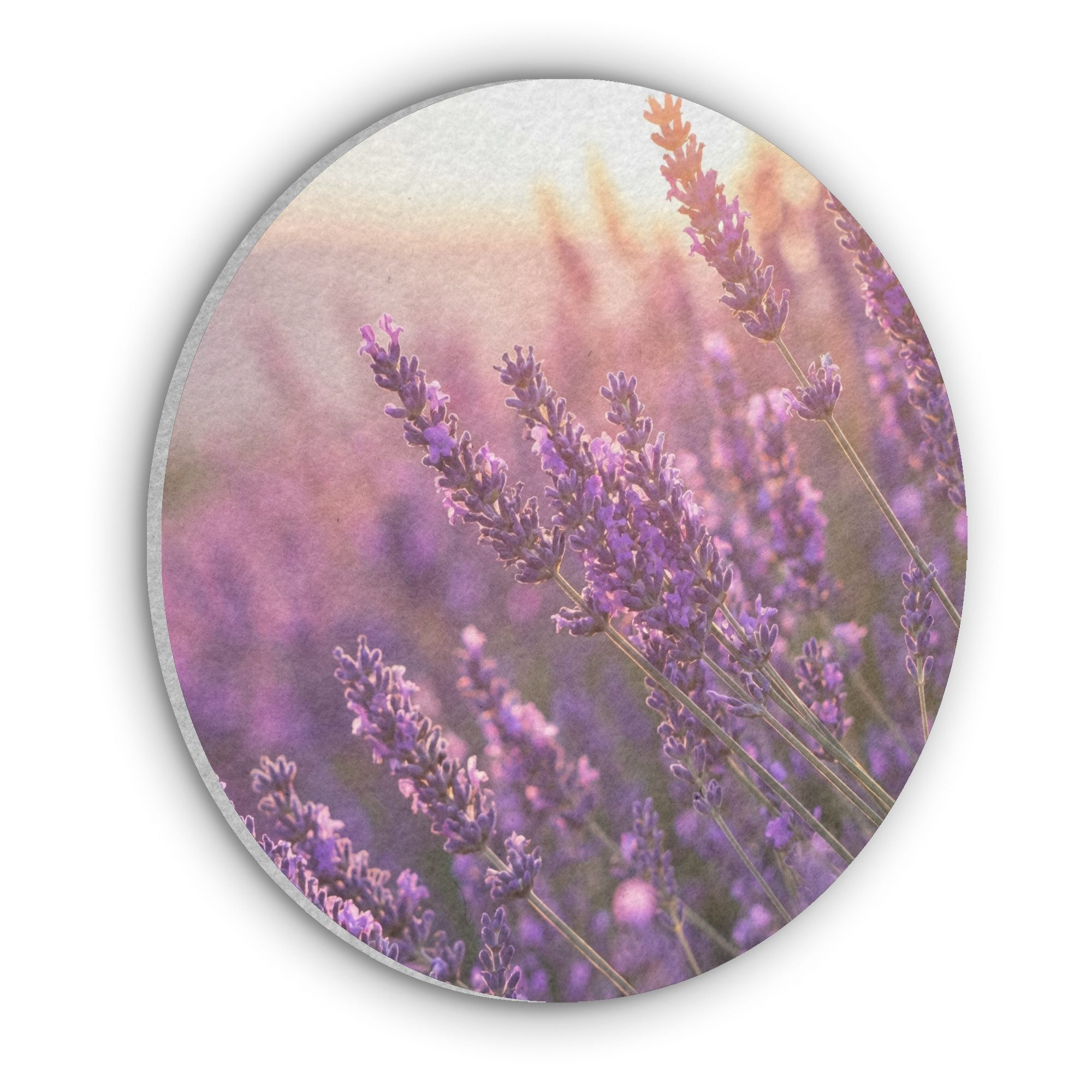 MuchoWow Gemälde Lavendel - Lila - Sonnenlicht, Fotodruck (1 St), Akustikpaneele rund, Schalldämmung, Akustikbilder 30x30 cm