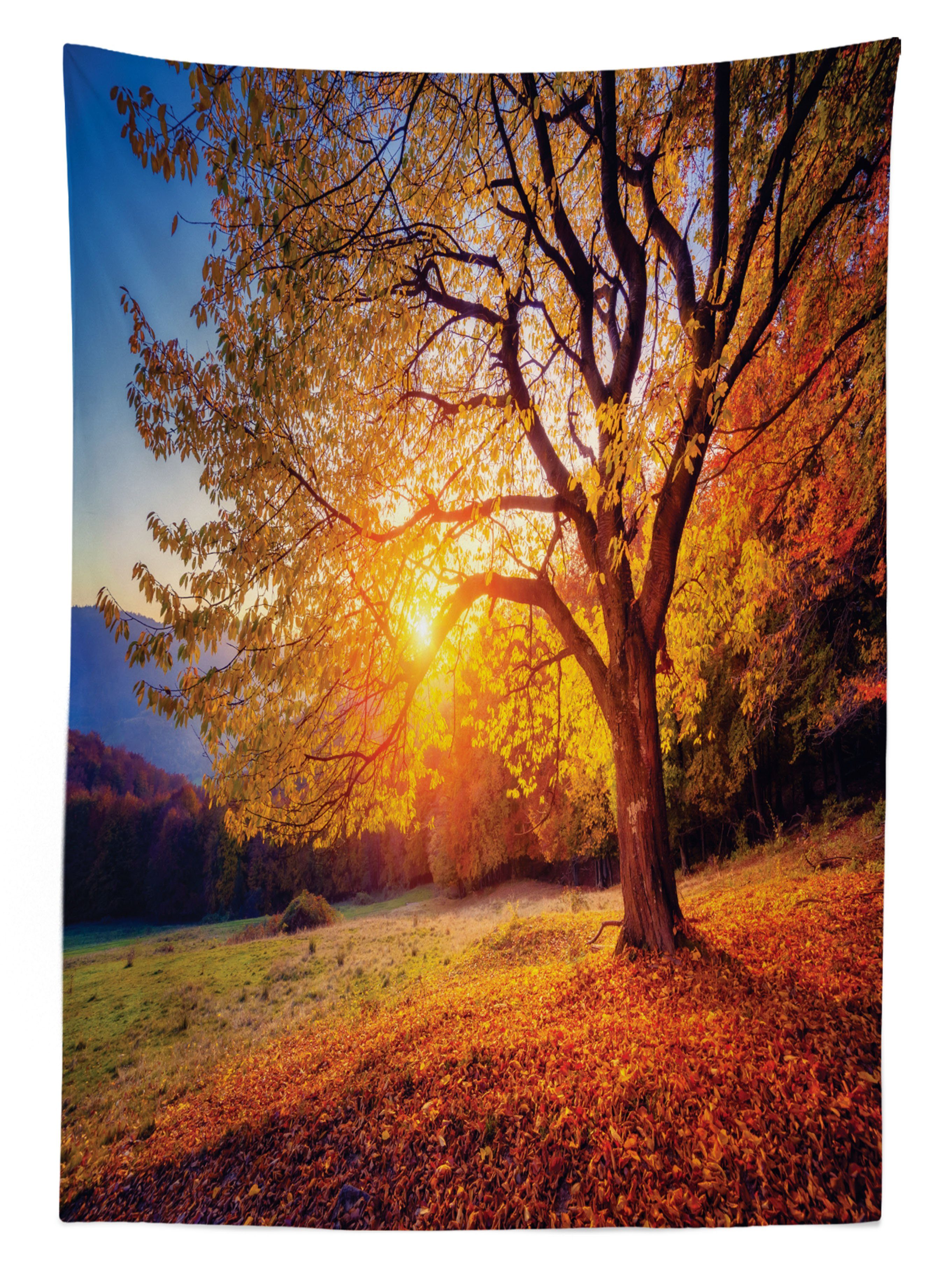 Abakuhaus Tischdecke Farben, Bereich Farbfest Klare geeignet Braun Für Außen Waschbar den Herbst-Fall-Baum-Blätter
