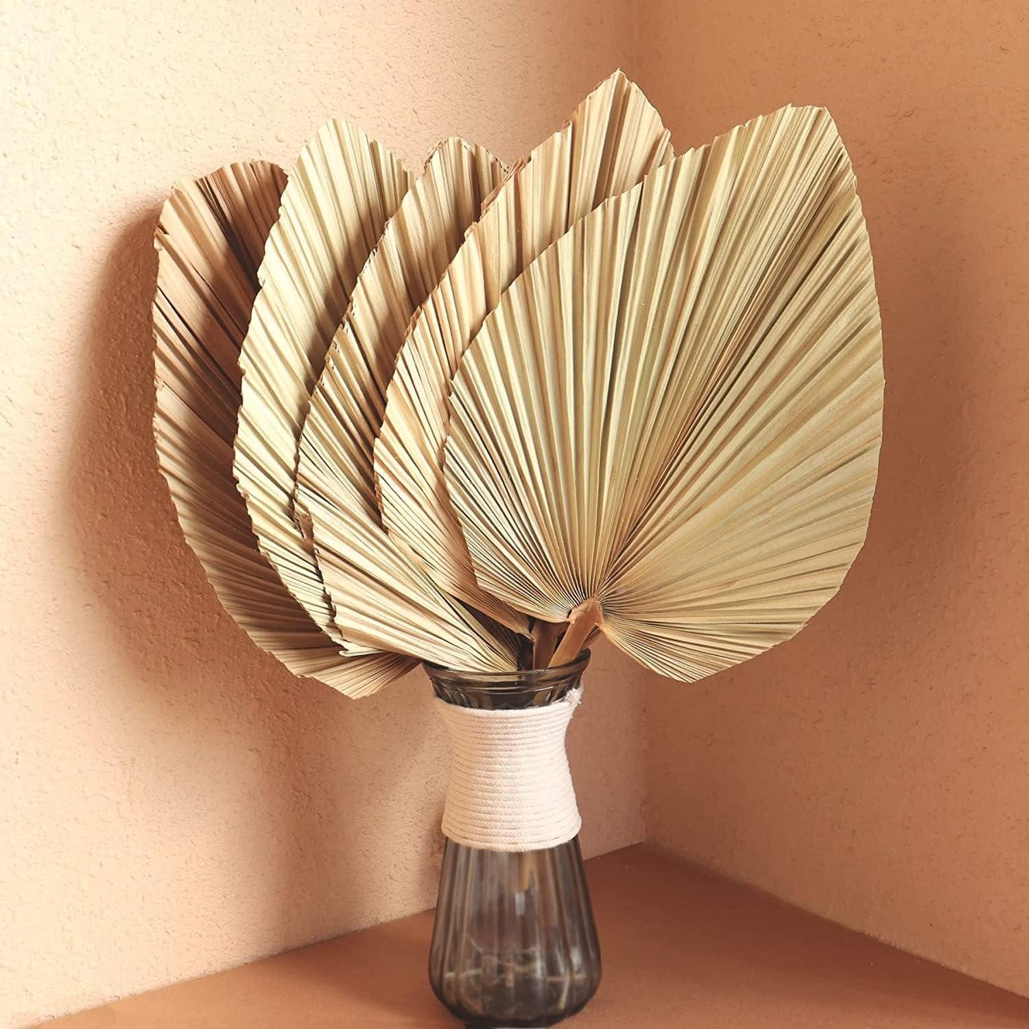 Trockenblume Getrocknete Palmblätter 5er Set Speer 18", LuxusKollektion, Höhe 45.7 cm