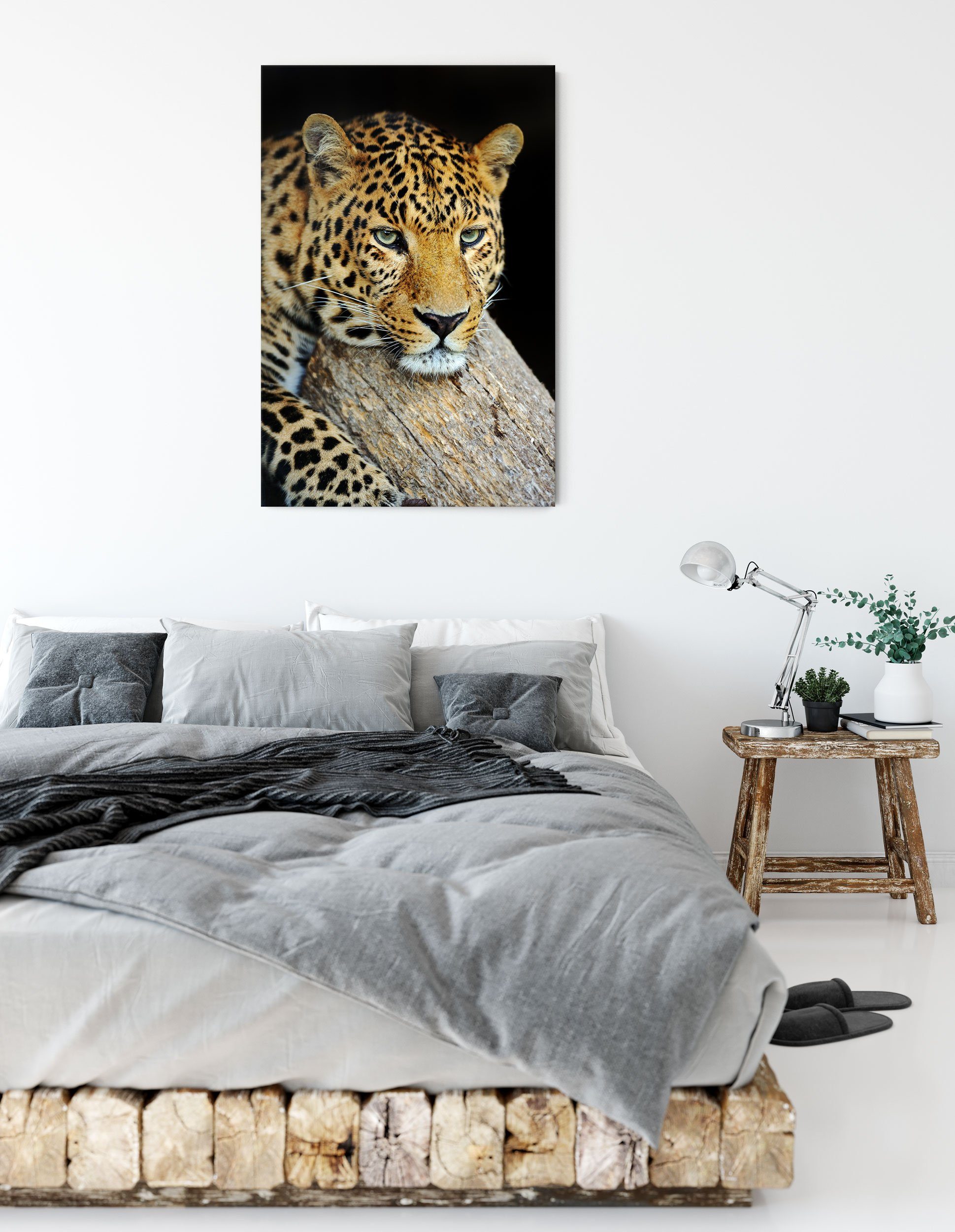 Ruhiger Leinwandbild St), Pixxprint fertig Leopard, inkl. Zackenaufhänger Ruhiger Leopard (1 bespannt, Leinwandbild