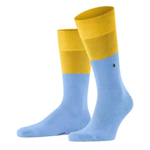 Burlington Socken Chester