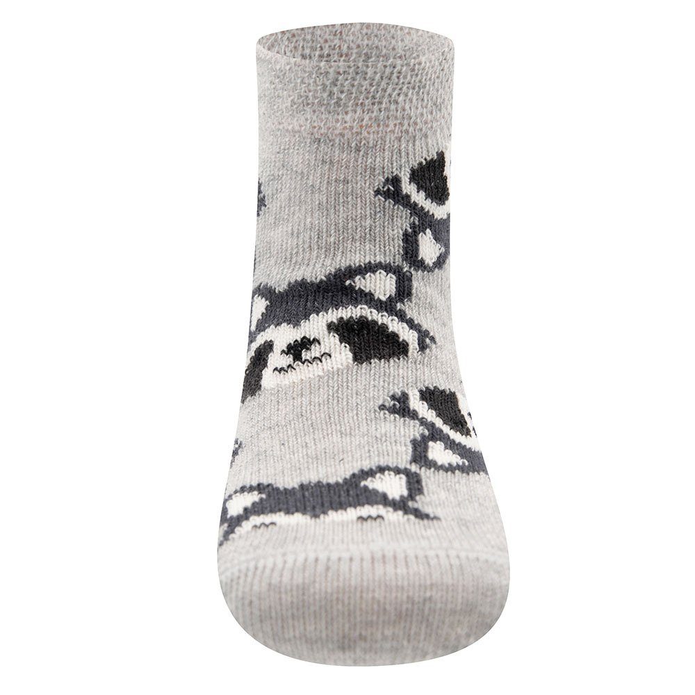Ewers Socken Socken Waschbär (4-Paar) günstig online kaufen