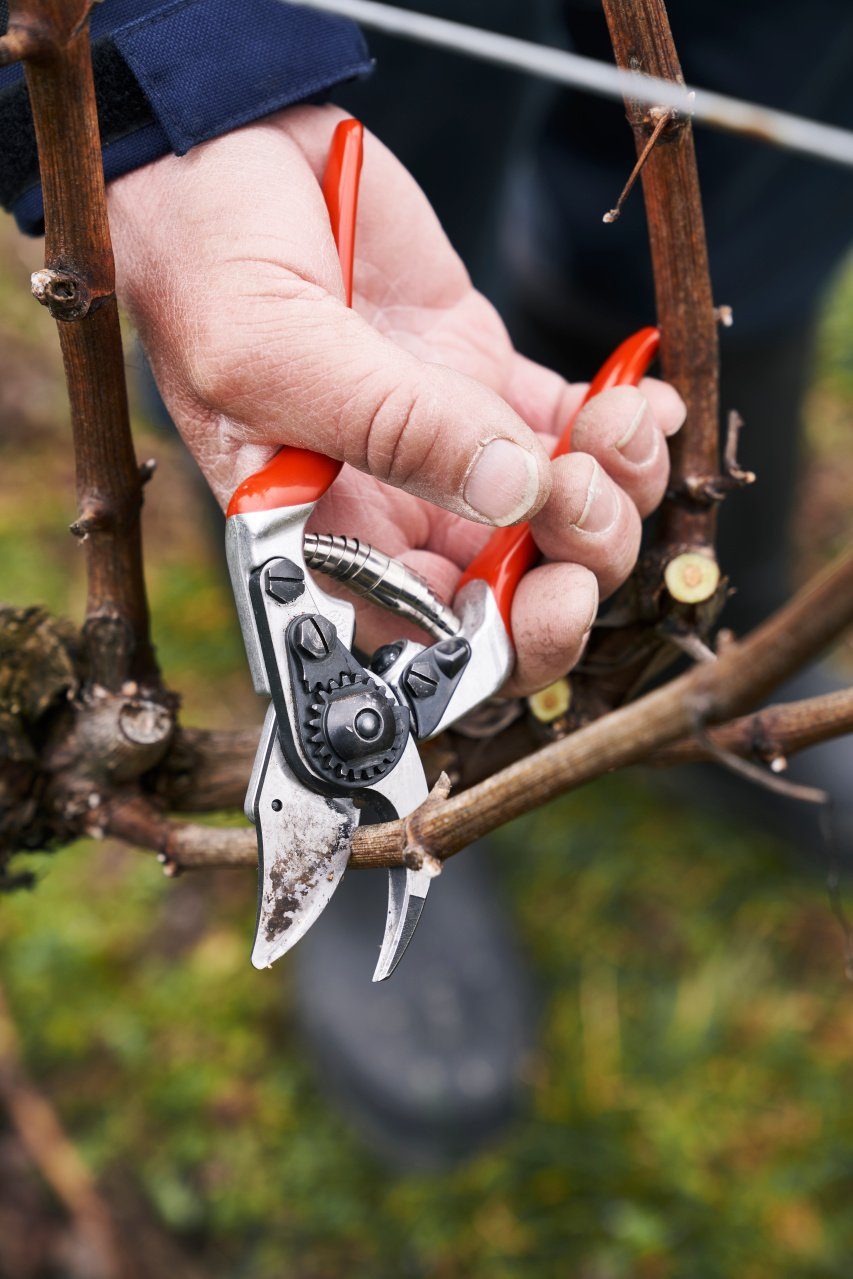 FELCO Gartenschere FELCO 14 Gartenschere Rebschere günstig online kaufen