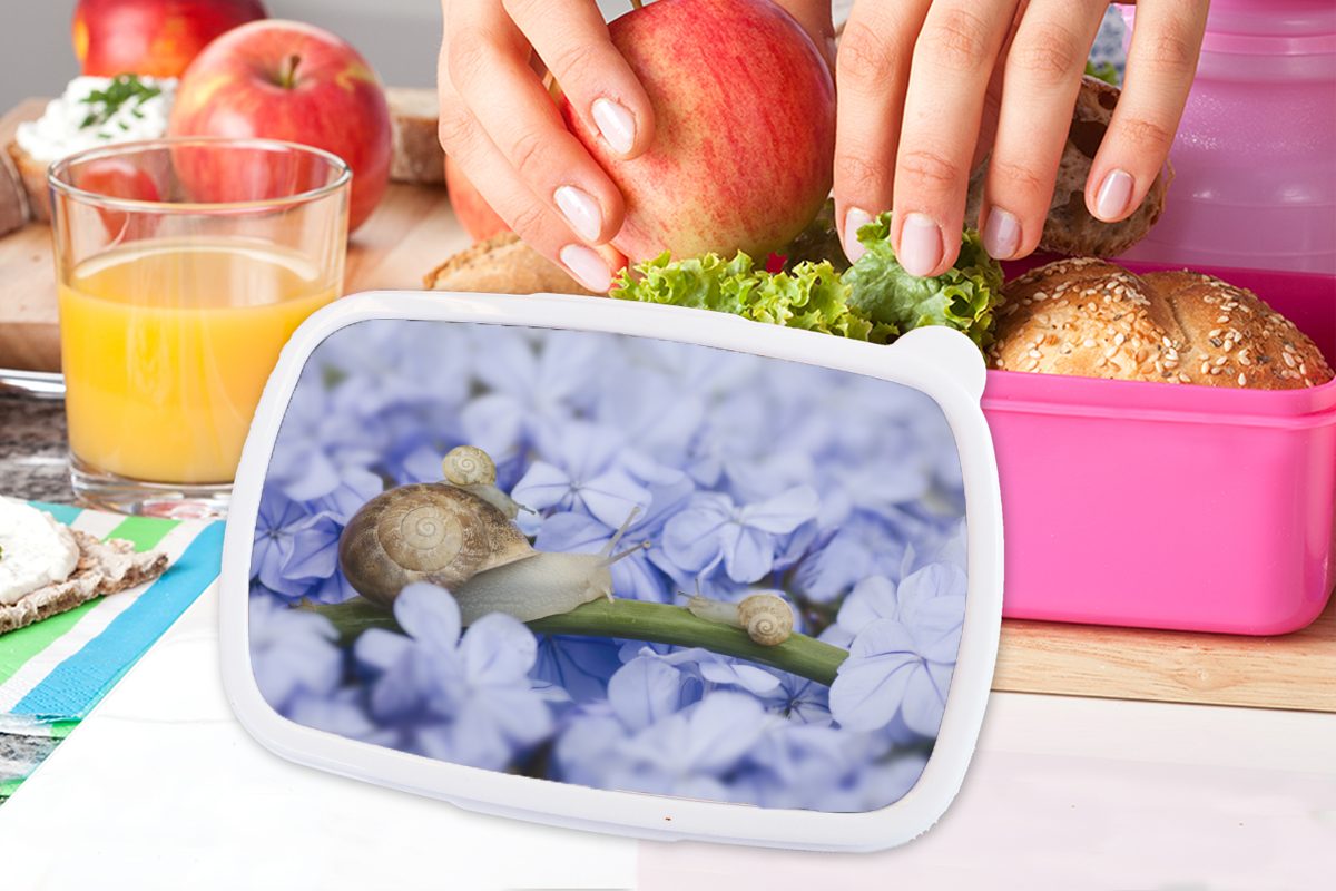 Kunststoff, Brotdose Schnecke Lunchbox Kunststoff - (2-tlg), Brotbox rosa MuchoWow Kinder, Tiere, Snackbox, Erwachsene, für - Mädchen, Blumen