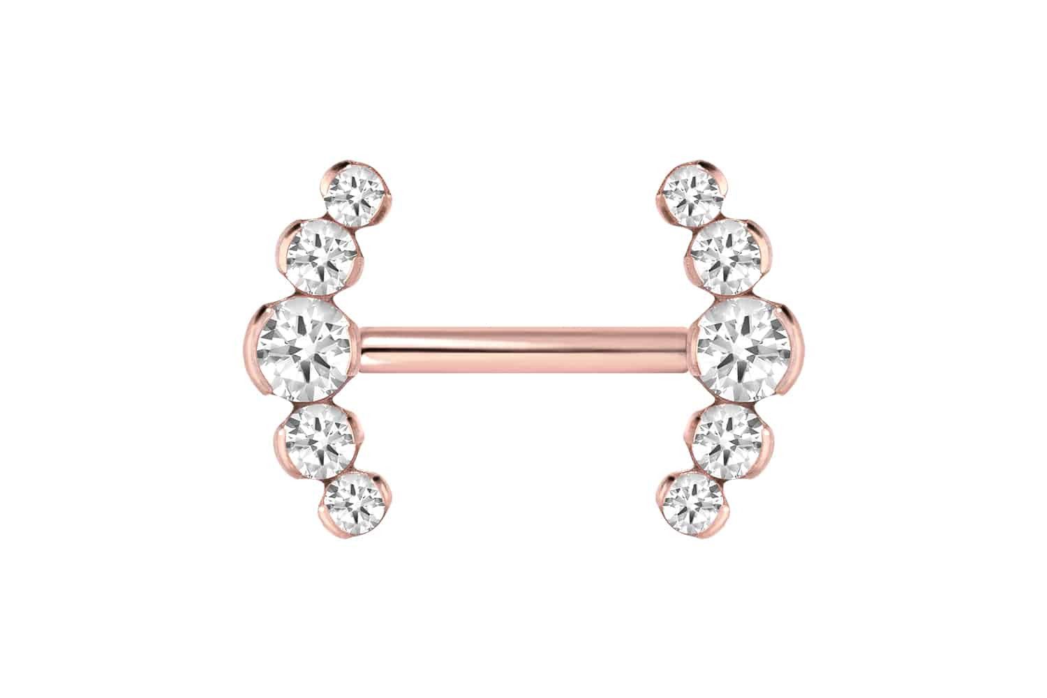 PIERCINGLINE Brustwarzenpiercing Titan Barbell mit Push Fit 5 KRISTALLE (Barbells, 1-tlg)