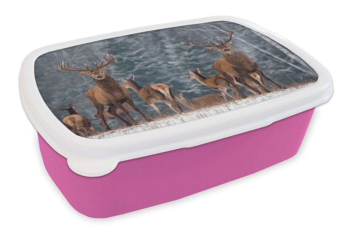 Natur, Schnee Snackbox, Kinder, Winter Kunststoff, rosa MuchoWow Lunchbox Waldtiere Kunststoff - Mädchen, - Wald - Brotbox - Brotdose Erwachsene, für (2-tlg), - Hirsche