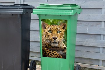 MuchoWow Wandsticker Panther - Dschungel - Grün (1 St), Mülleimer-aufkleber, Mülltonne, Sticker, Container, Abfalbehälter
