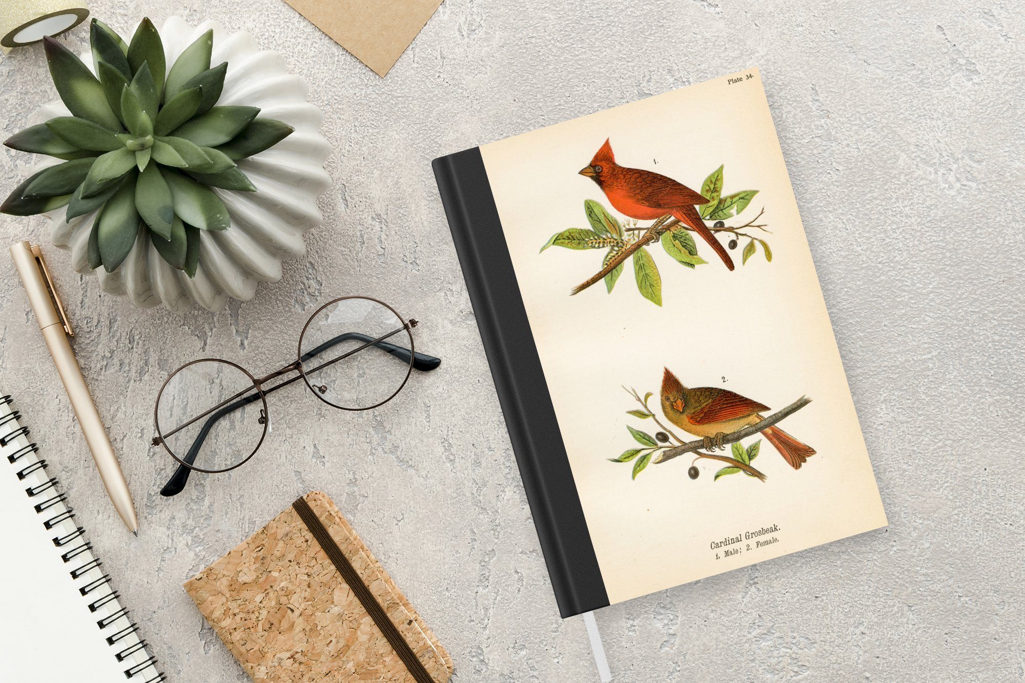MuchoWow Notizbuch Antiker Vogeldruck Merkzettel, Journal, Tagebuch, Seiten, A5, 98 Vögel, Haushaltsbuch Notizheft