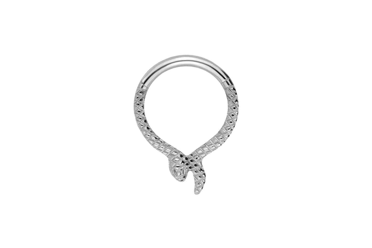 Nasenpiercing Titan Segmentring Clicker SCHLANGE Ohrpiercing Septum Nase