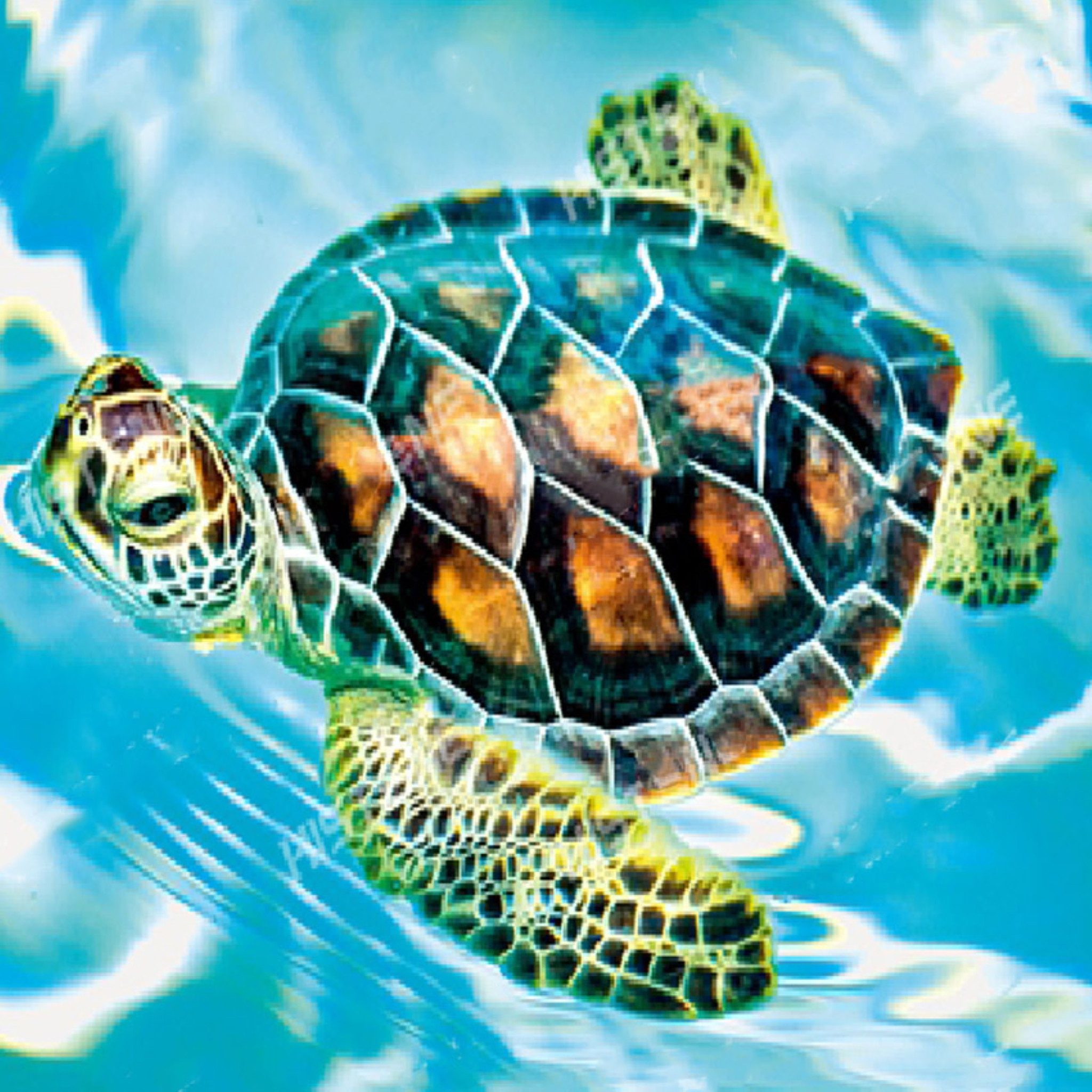 Malen nach Zahlen 5d Diamond Painting Schildkröte Malen nach Zahlen 20x30cm