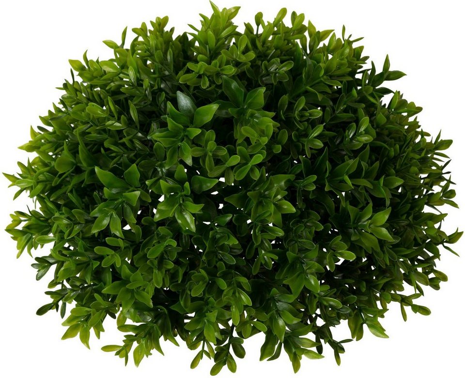 Kunstpflanze Buchsbaumhalbkugel, Creativ green, Höhe 14 cm