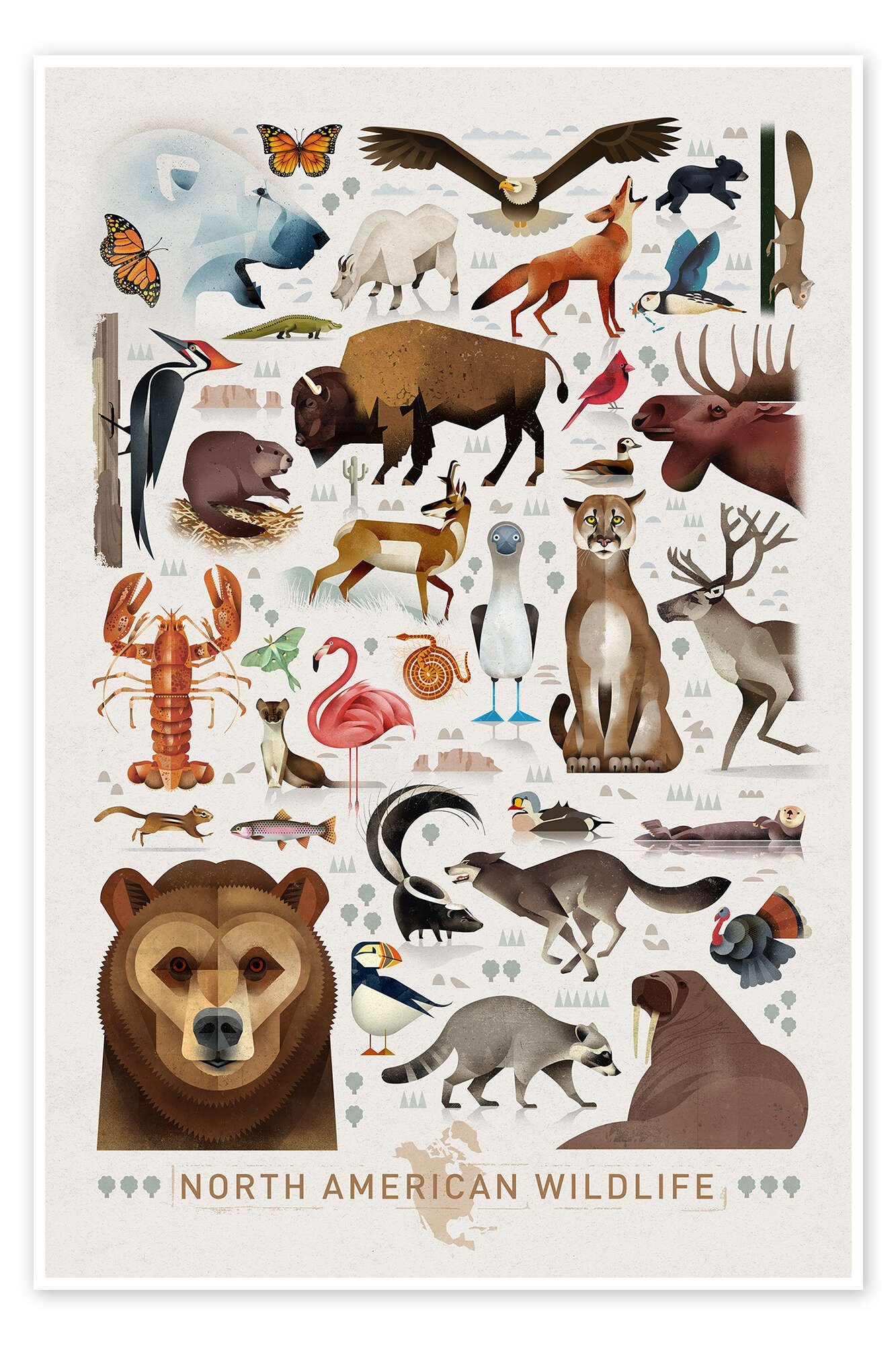 Posterlounge Poster Dieter Braun, Nordamerikanische Tierwelt, Kindergarten Kindermotive