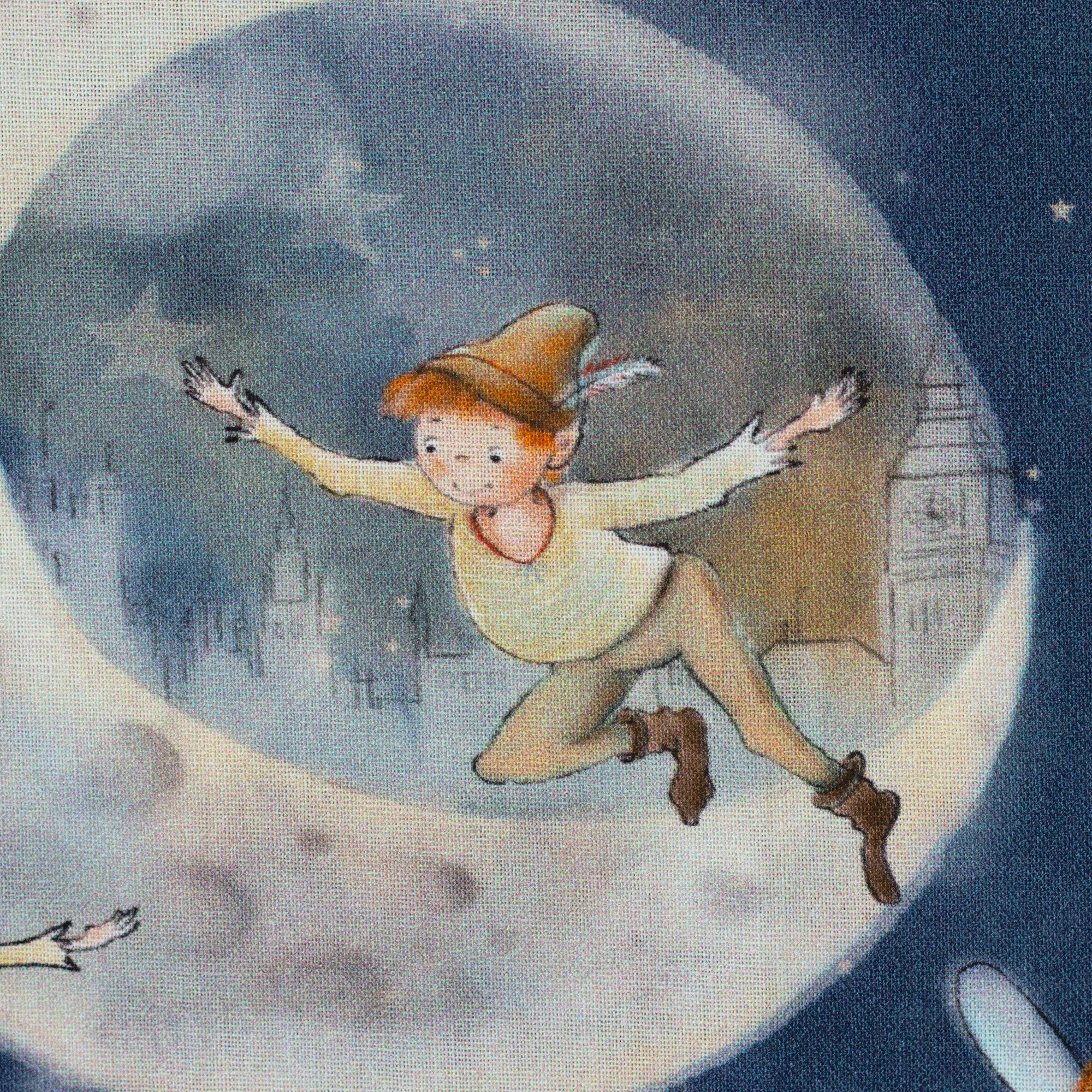 larissastoffe Stoff Kinderstoffe Baumwollstoff Meterware Swafing Peter Pan Fairytale, Meterware, 50 cm x 147 cm