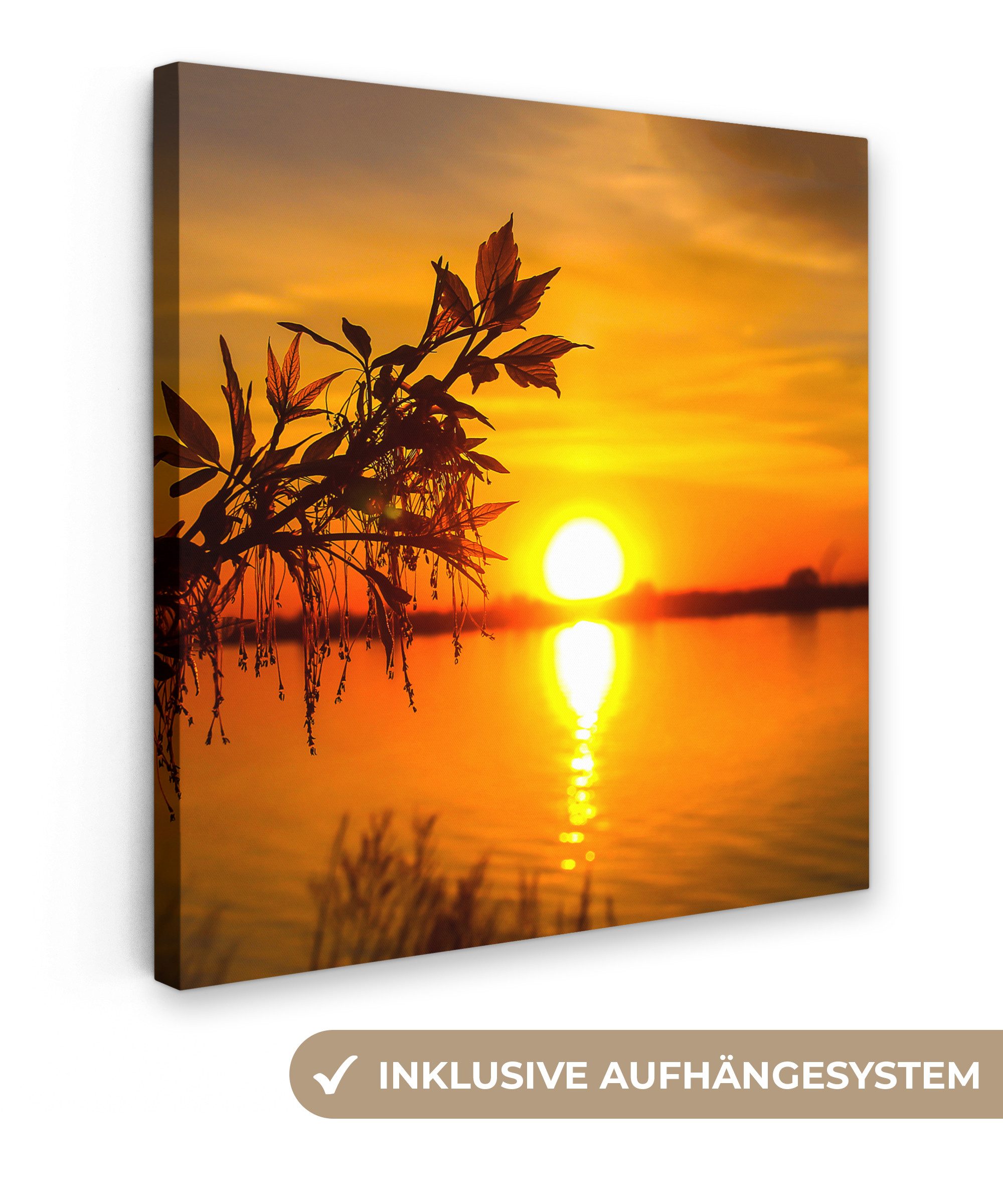 OneMillionCanvasses® Leinwandbild Sonnenuntergang - Wasser - Pflanzen - Orange, Fotodruck (1 St), Wandbild, Deko Schlafzimmer Wohnzimmer Flur 20x20 cm