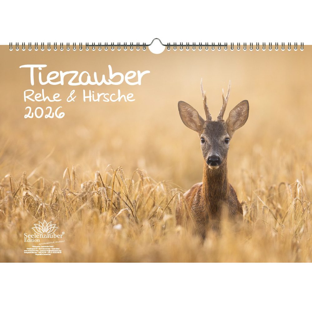 Seelenzauber Wandkalender Tierzauber Rehe & Hirsche DIN A3 Kalender für 2026 - Seelenzauber