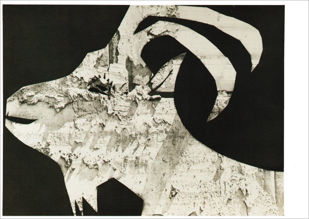 Postkarte Kunstkarte Pablo Picasso "Ziege mit Gipsabfall"