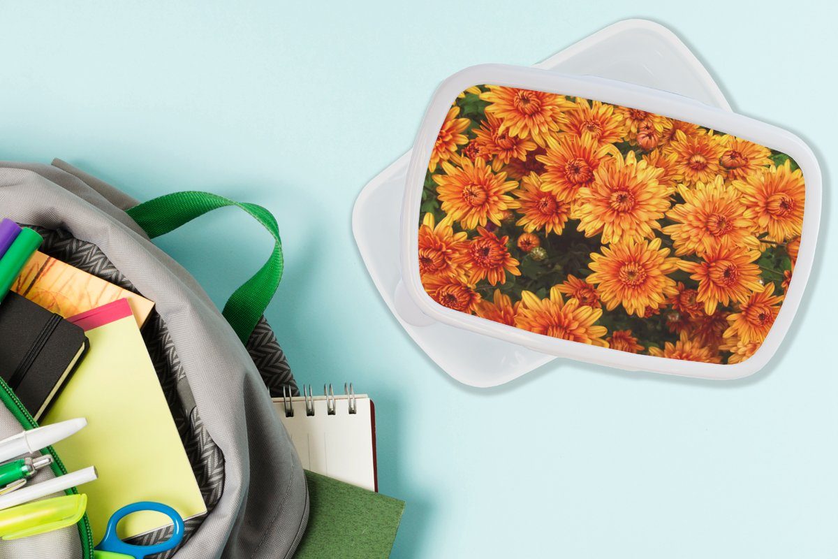 Lunchbox Brotdose, Jungs Chrysantheme, Erwachsene, Blumen Brotbox und für Kunststoff, (2-tlg), - weiß für Kinder MuchoWow - Orange Mädchen und