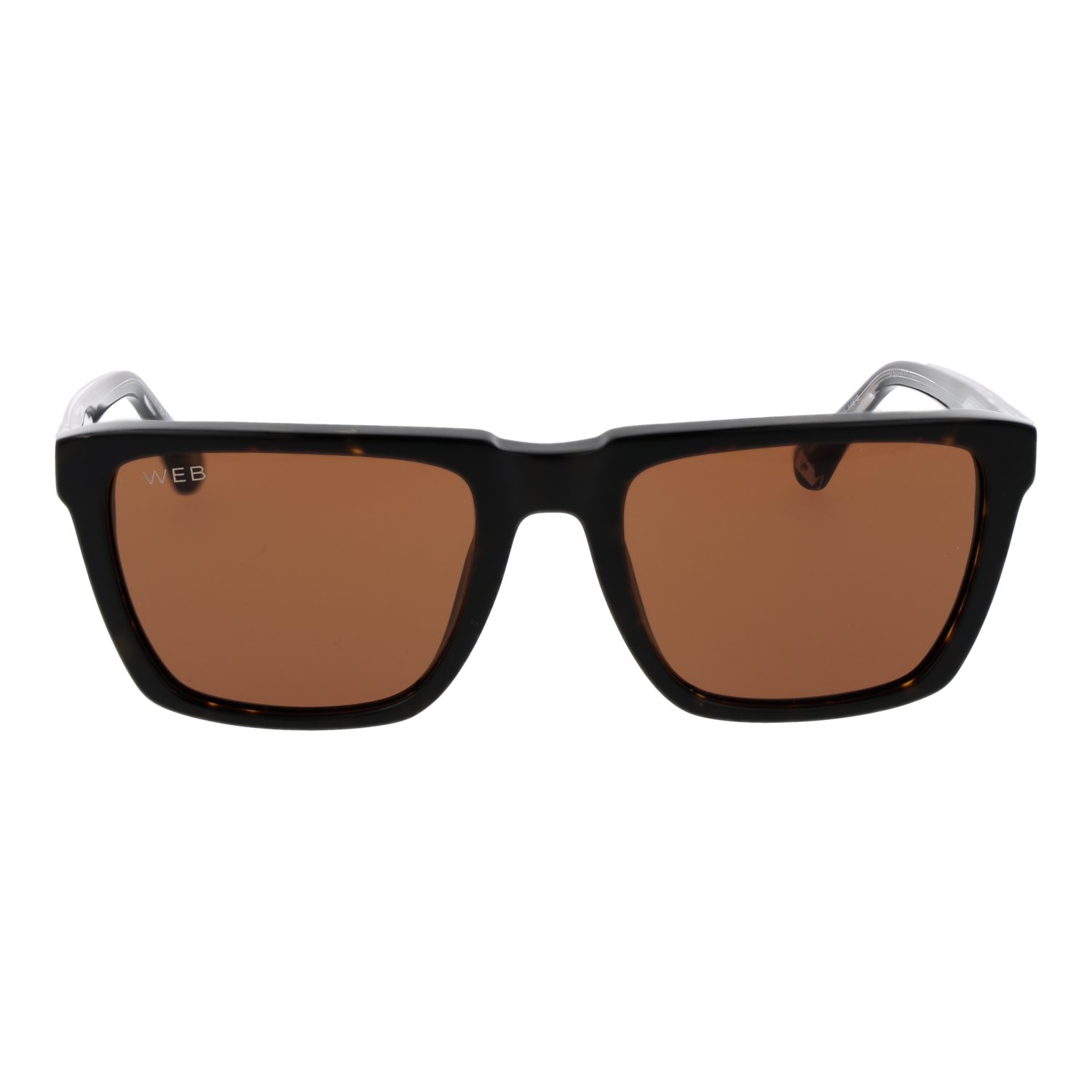 Web Sonnenbrille WE0379 5556E