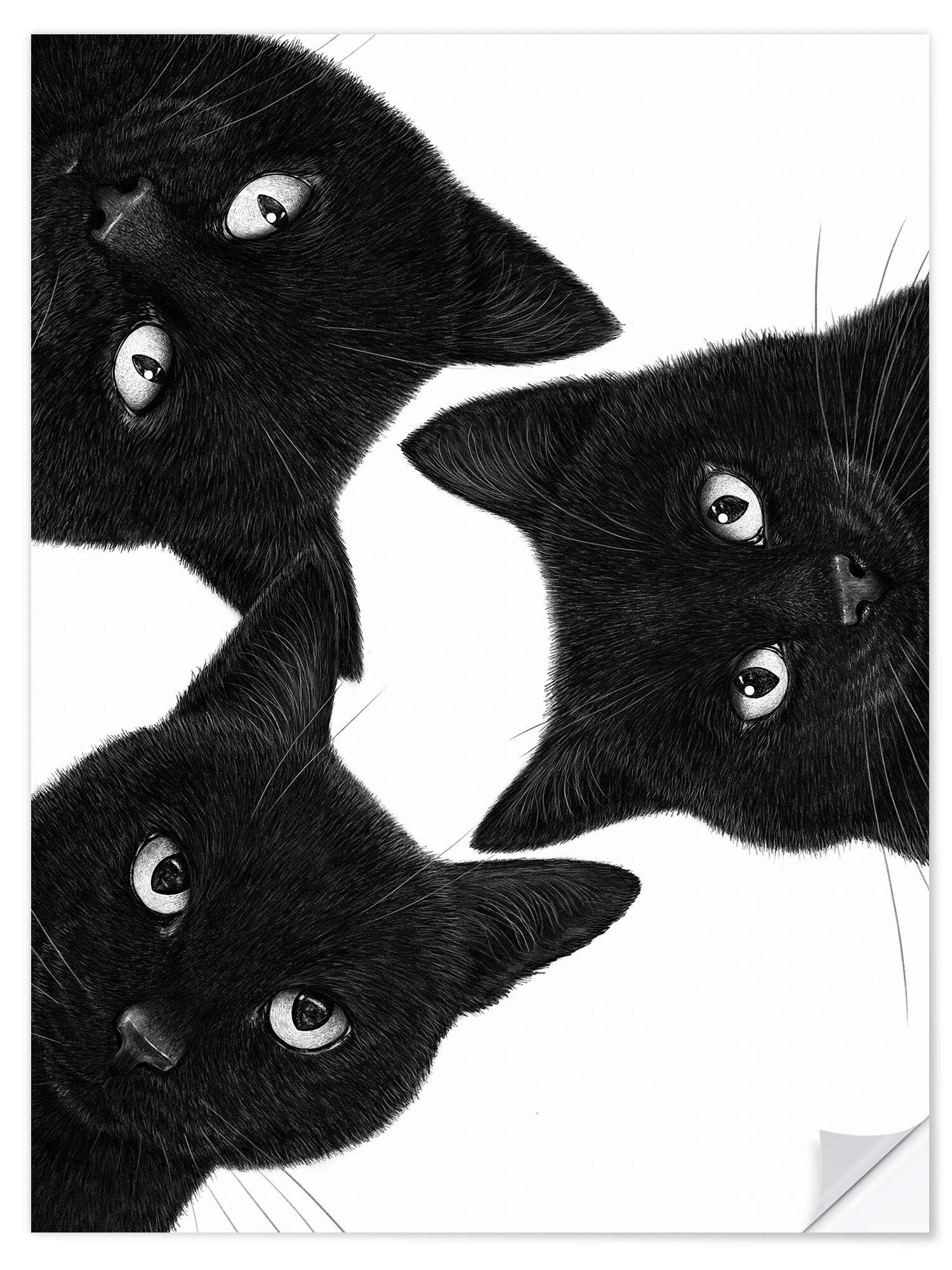 Posterlounge Wandbild Drei schwarze Katzen im Kreis, Valeriya Korenkova, erhältlich als Poster, Leinwandbild, Wandsticker oder Acrylglasbild