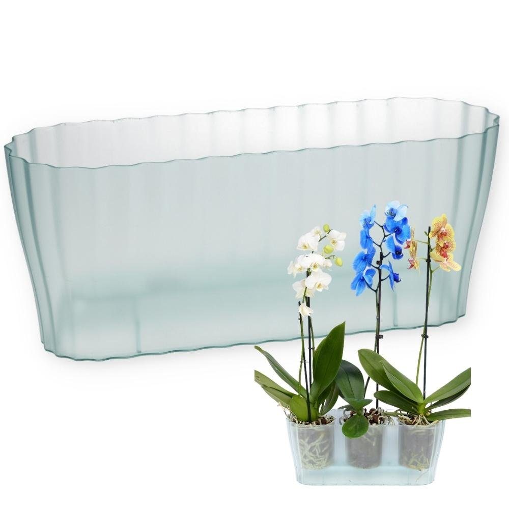 mehrere Blumentopf für Kasten durchsichtig glas GarPet Übertopf Orchideentopf Blumen Pflanzen