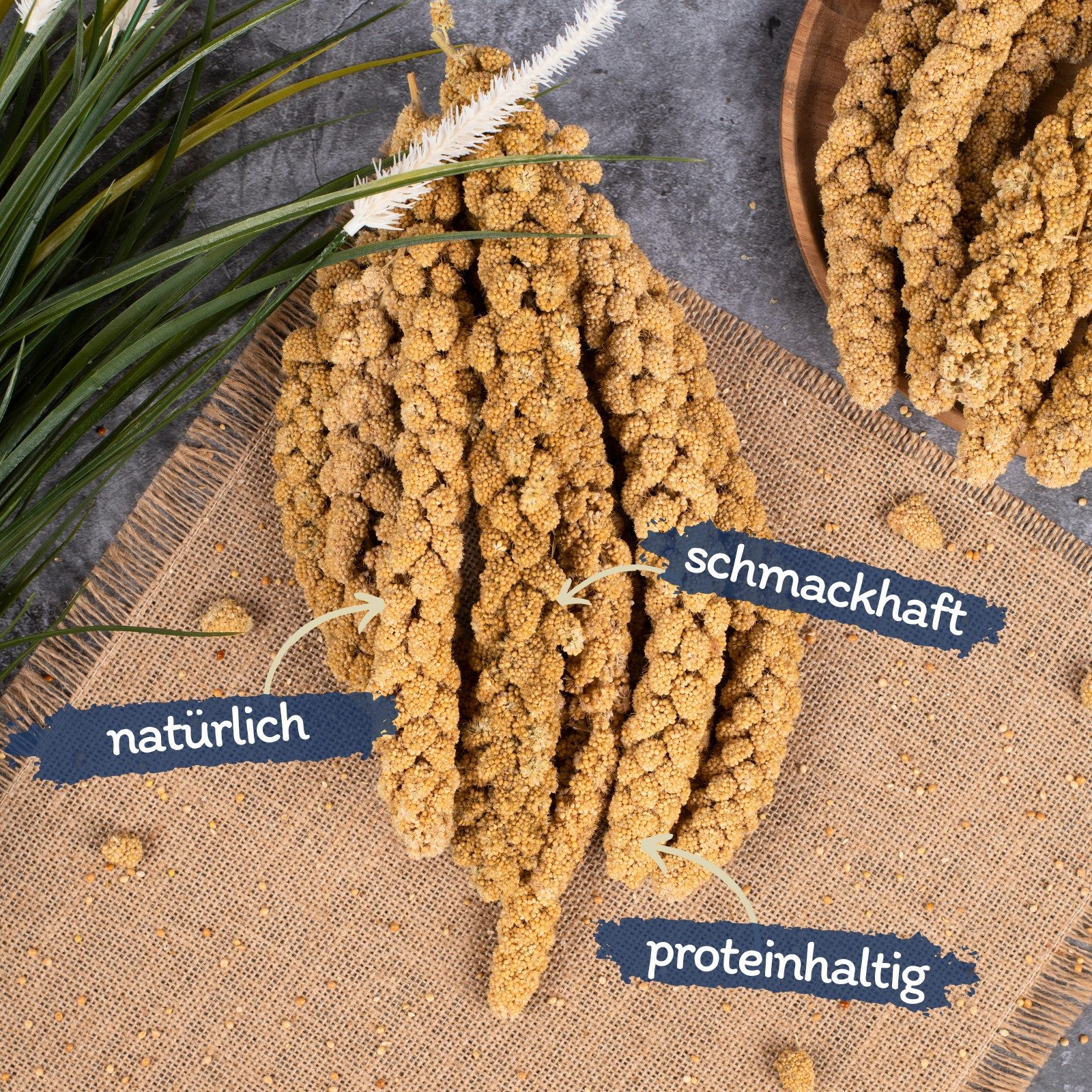 Lyra Pet 5 kg Lyra Pet® Kolbenhirse gelb, für: Wildvogel, Haus- und Nutztie günstig online kaufen