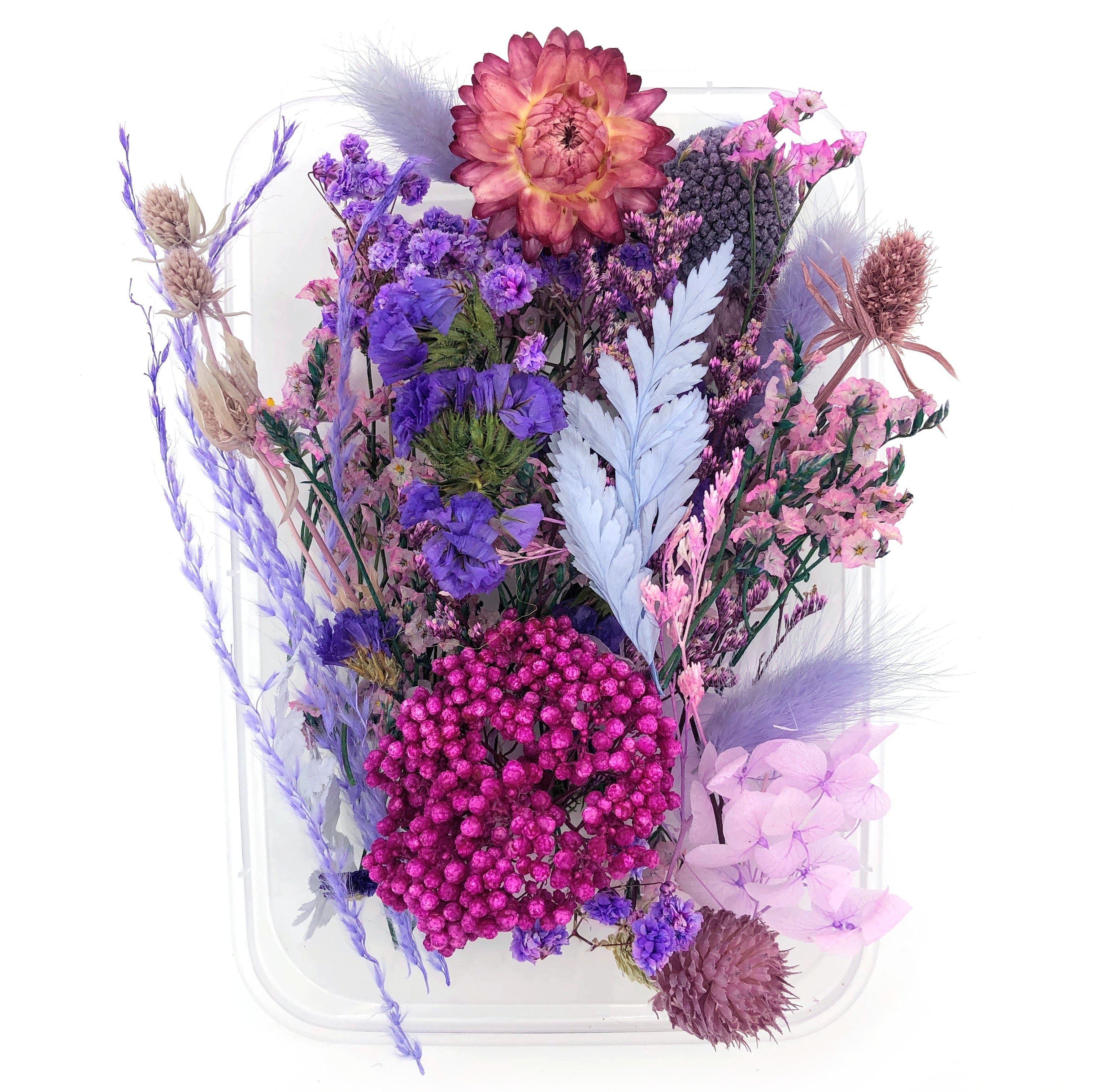 Trockenblume Farblich sortierte Box mit getrockneten Blumen - Lila, Kunstharz.Art