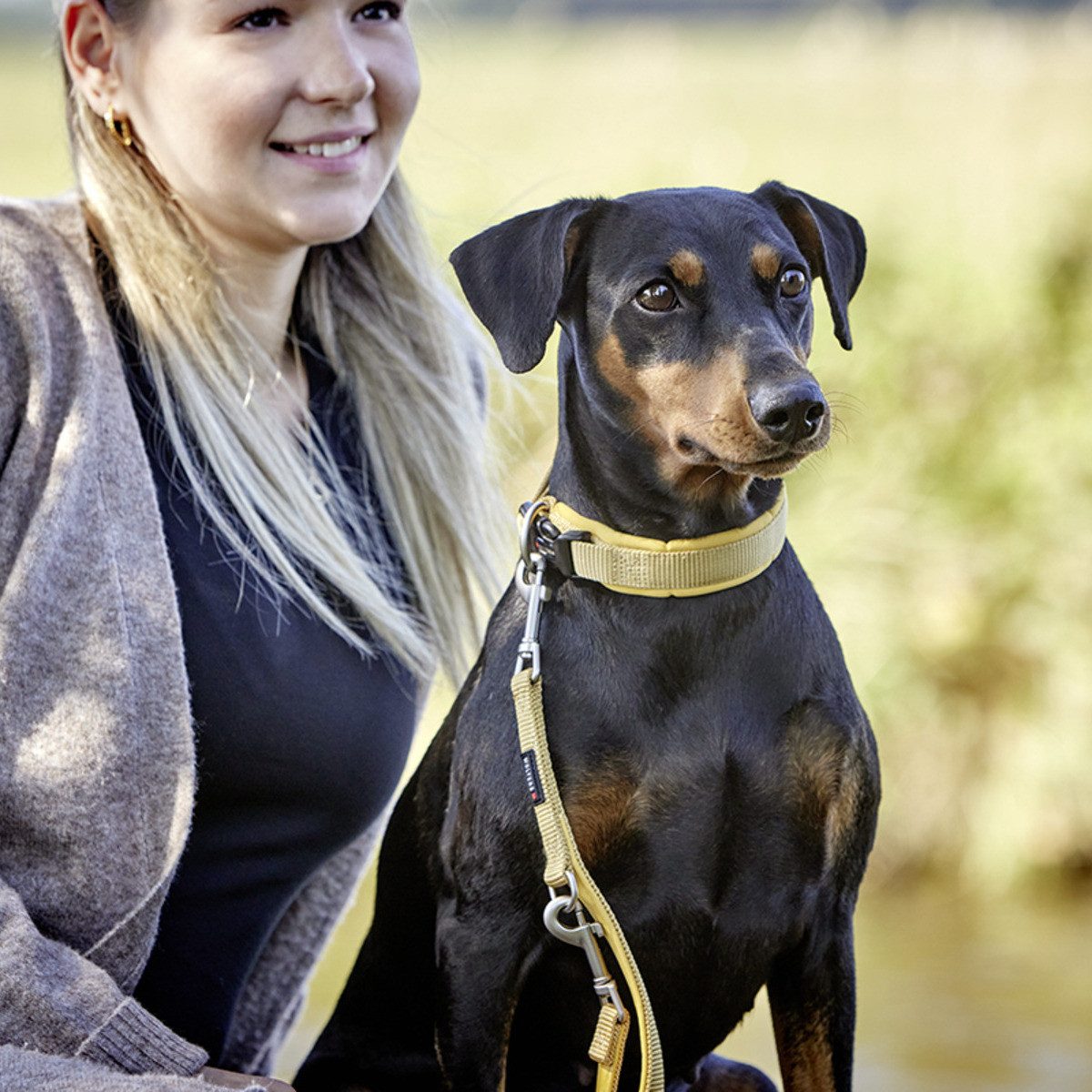 Wolters Hunde-Halsband Halsband Professional Comfort curry gelb