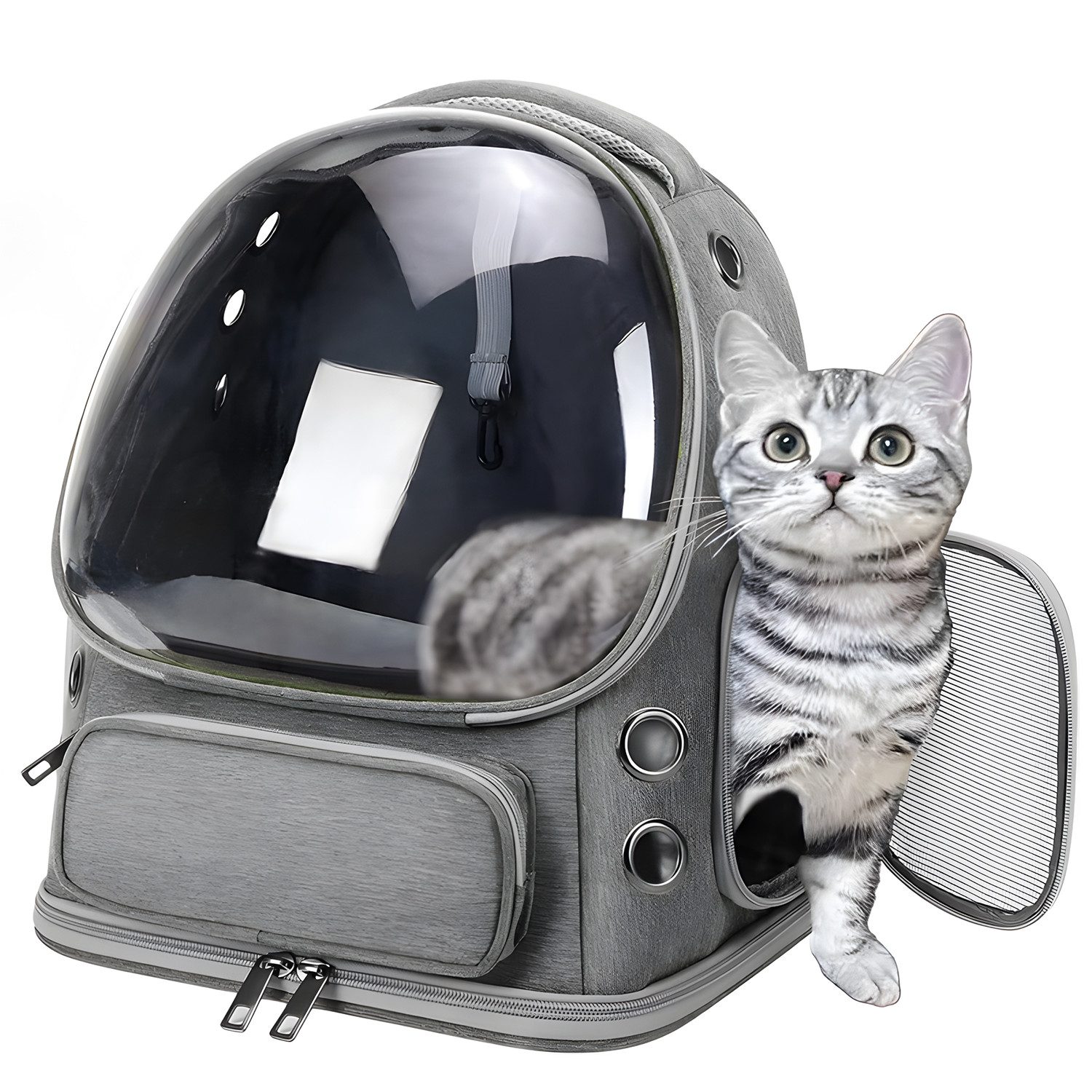 AKKEE Tiertransporttasche Transparentes Design Rundum-Belüftung, Für Hunde und Katzen 34 x 27 x 42 cm