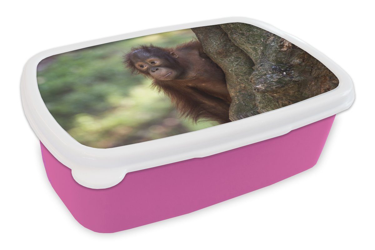 MuchoWow Lunchbox Baby - Orang-Utan - Baum, Kunststoff, (2-tlg), Brotbox für Erwachsene, Brotdose Kinder, Snackbox, Mädchen, Kunststoff rosa