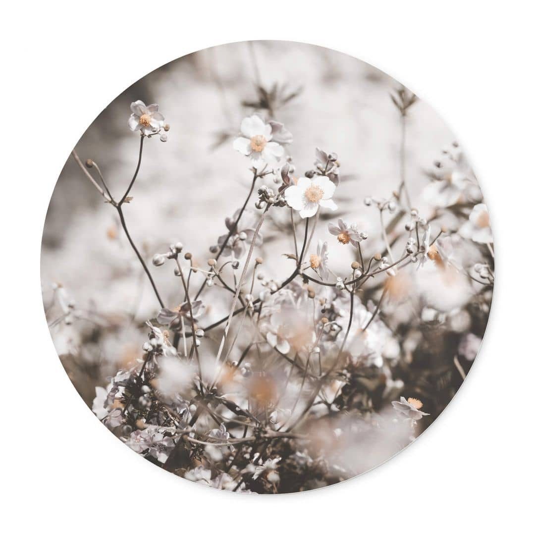 K&L Wall Art Poster Wandbild Poster Rund Fotografie Annie Wildblumen Landhaus Deko, Wohnzimmer Kunstdruck floral