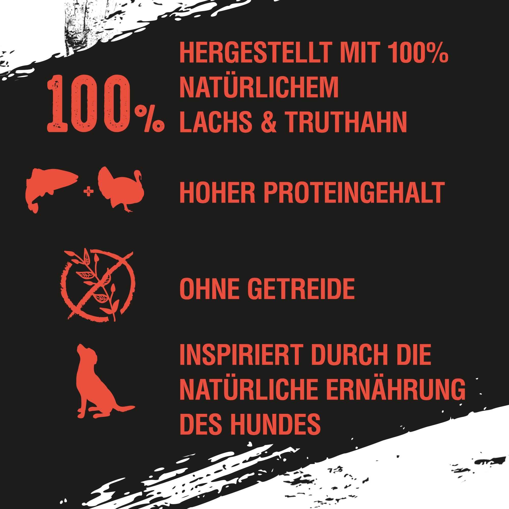 CRAVE CRAVE™ Hund Dose mit Lachs und Truthahn 6 x 400g, Nassfutter für: Hunde
