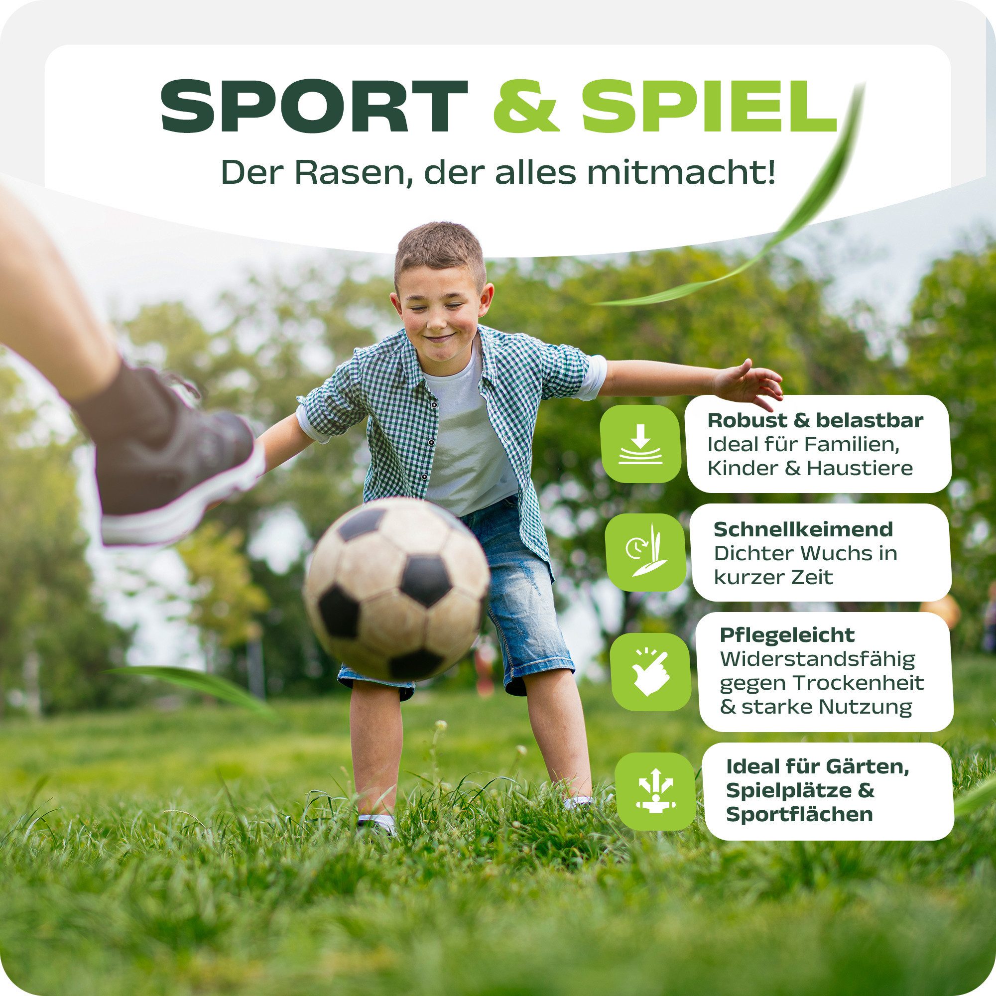 halmland Rasensamen halmland Premium Rasensamen 10kg schnellkeimend für Sport+Spiel 400m²