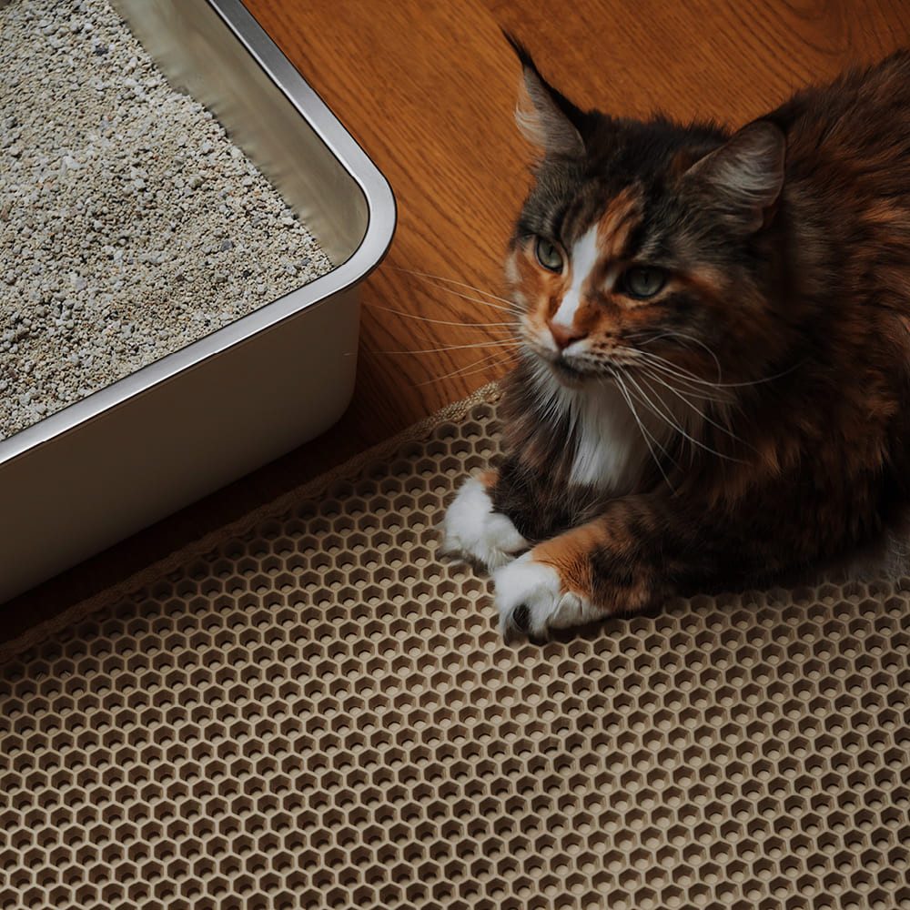 LucyBalu Katzentoilette Streumatte LOOMAT, zweilagiger Katzenklo Vorleger, Leicht zu reinigende Katzenstreu-Auffangmatte